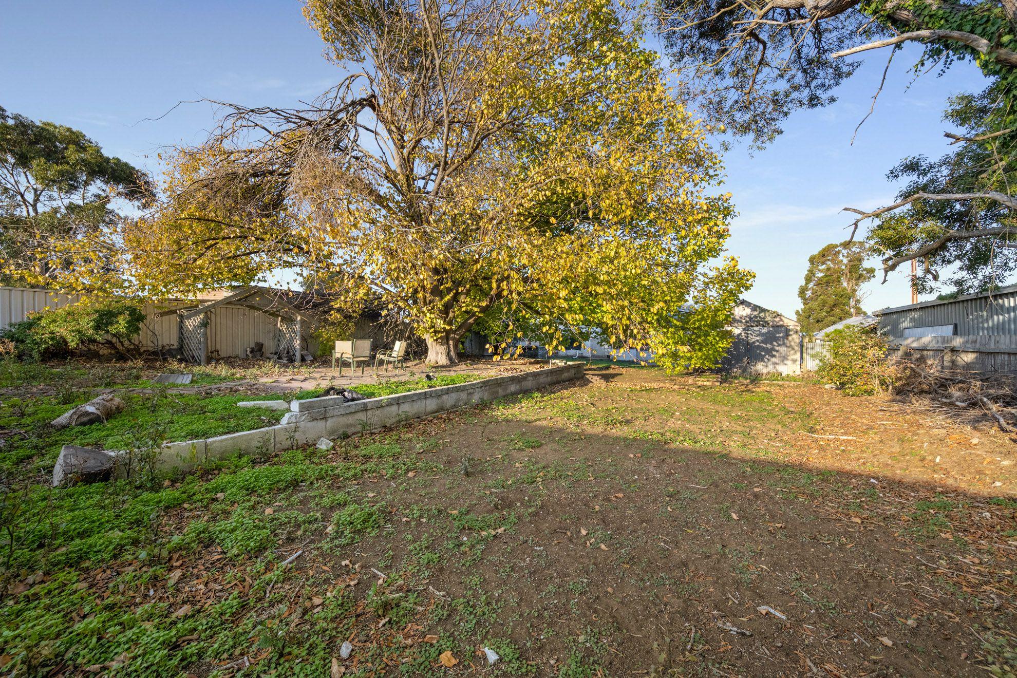 House for Rent: Mount Gambier, SA 5290, SA, 5290