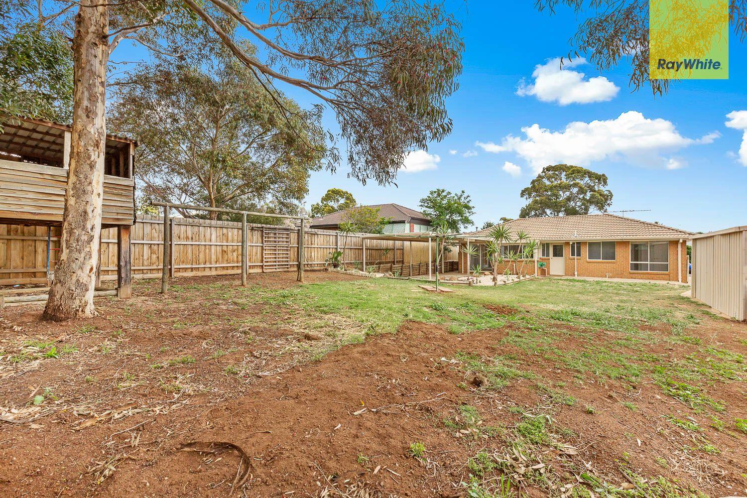 NEAT WITH A LARGE WELL ESTABLISHED YARD