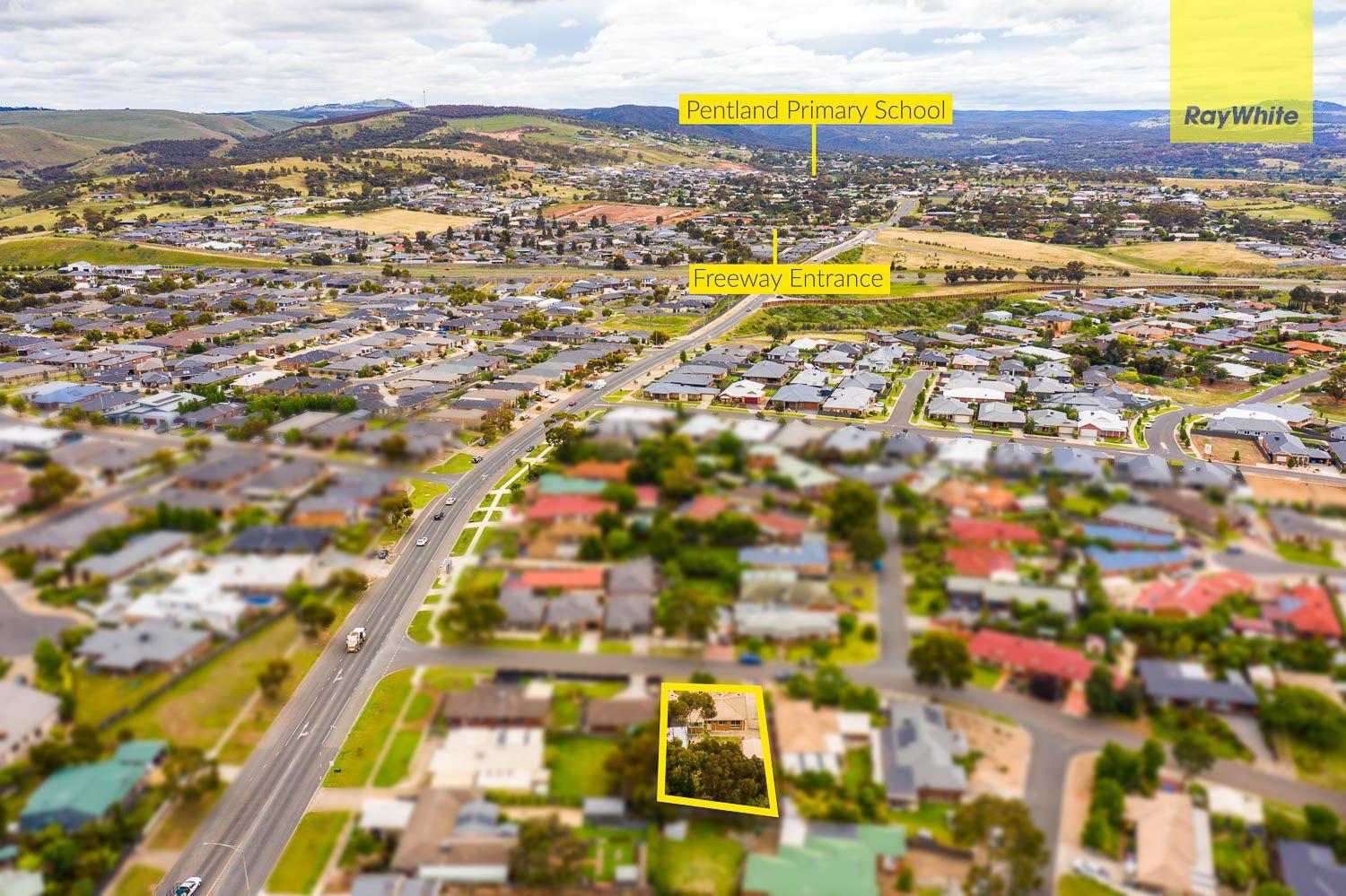 NEAT WITH A LARGE WELL ESTABLISHED YARD