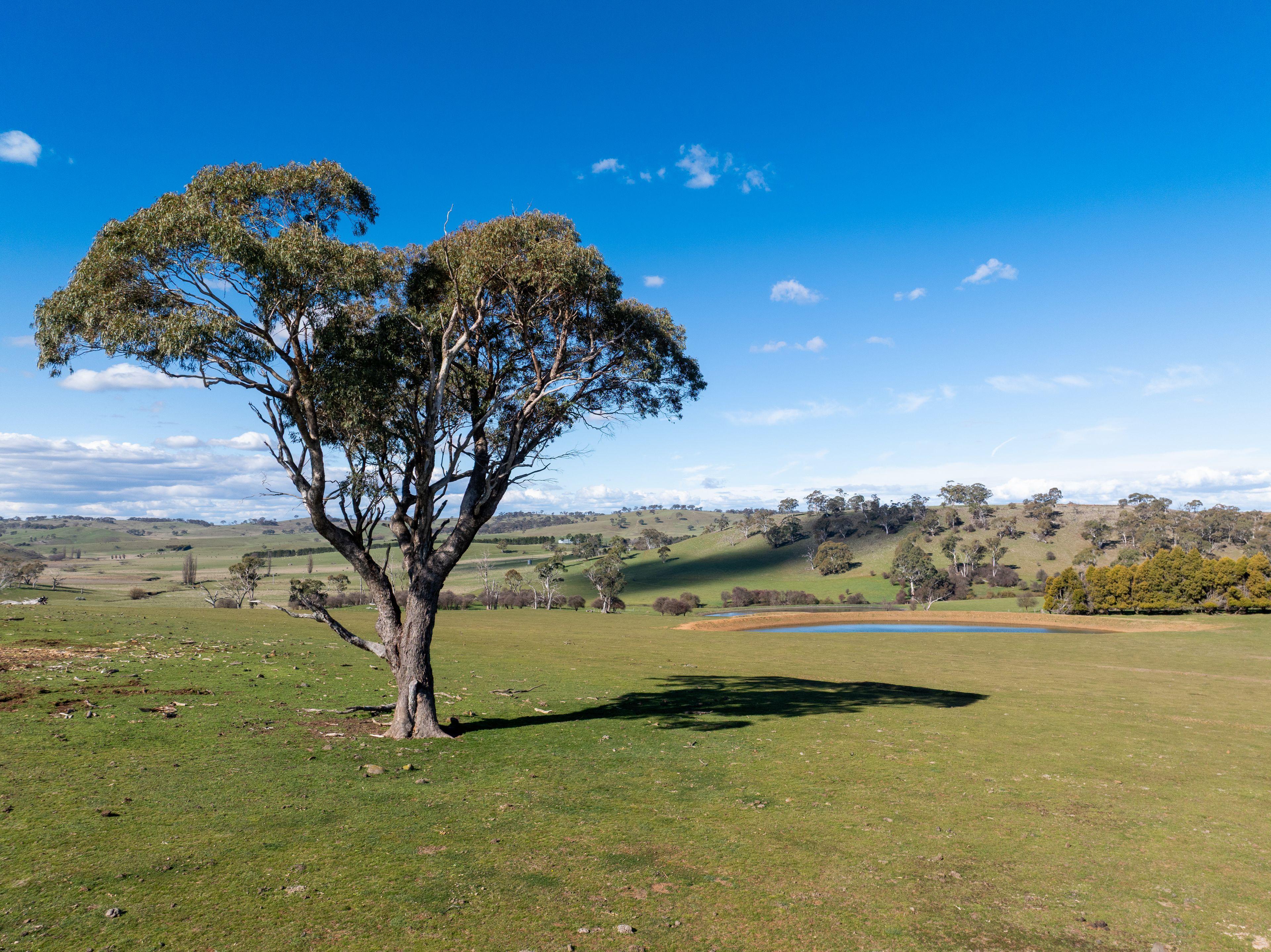 Exceptional Rural Property in a Prime Location