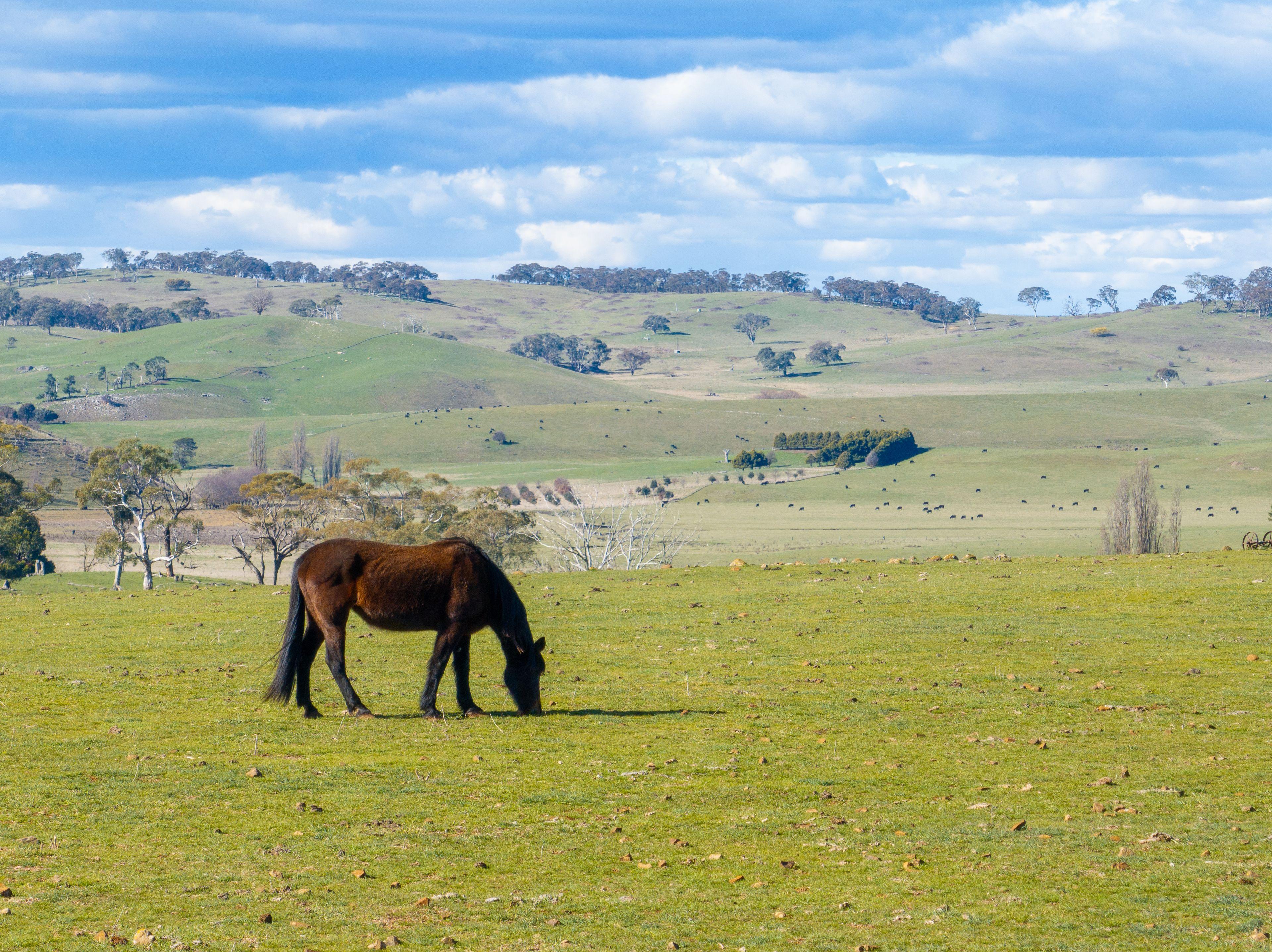 Exceptional Rural Property in a Prime Location