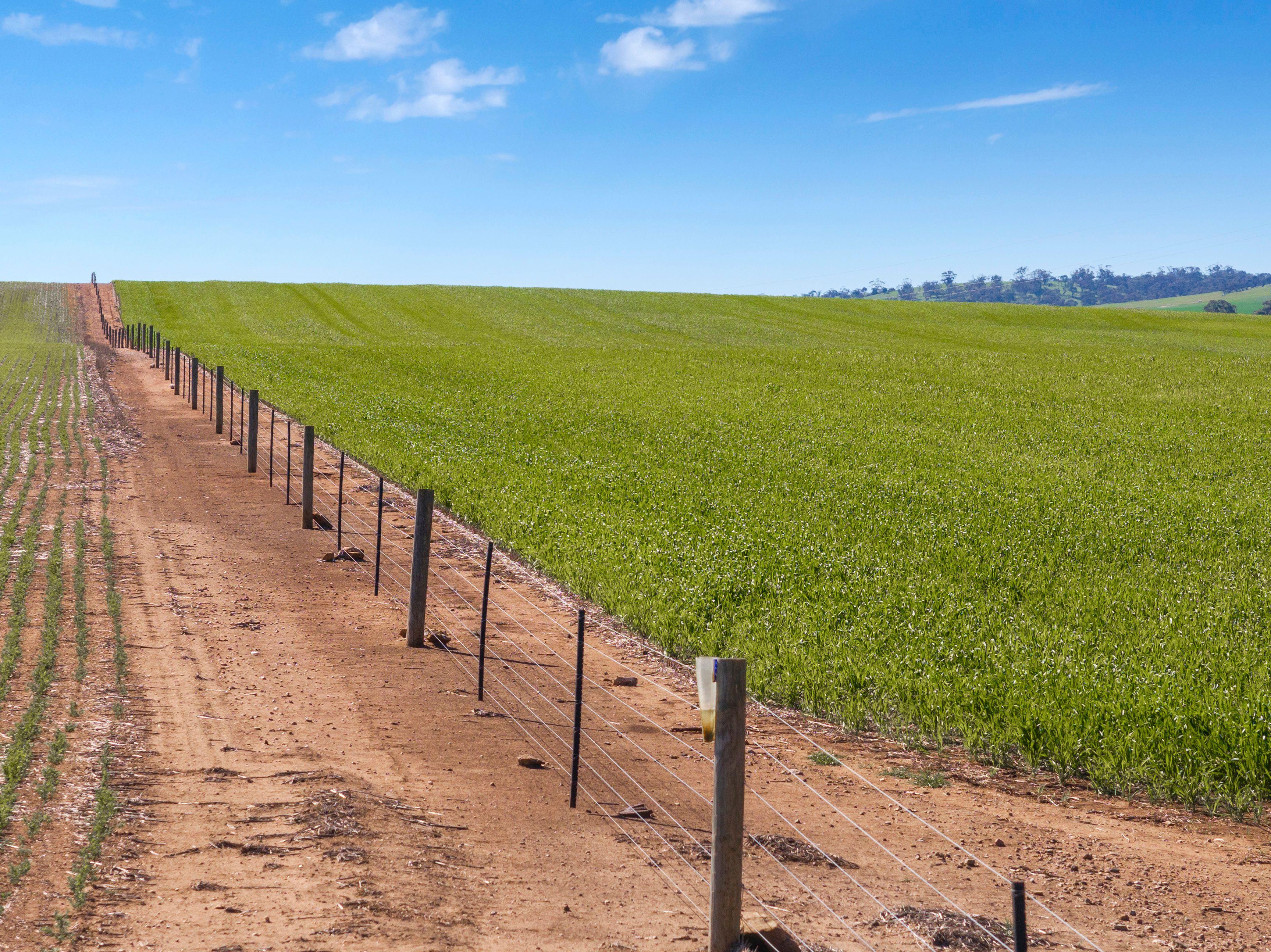 Prime Farming Land - Unique Opportunity
