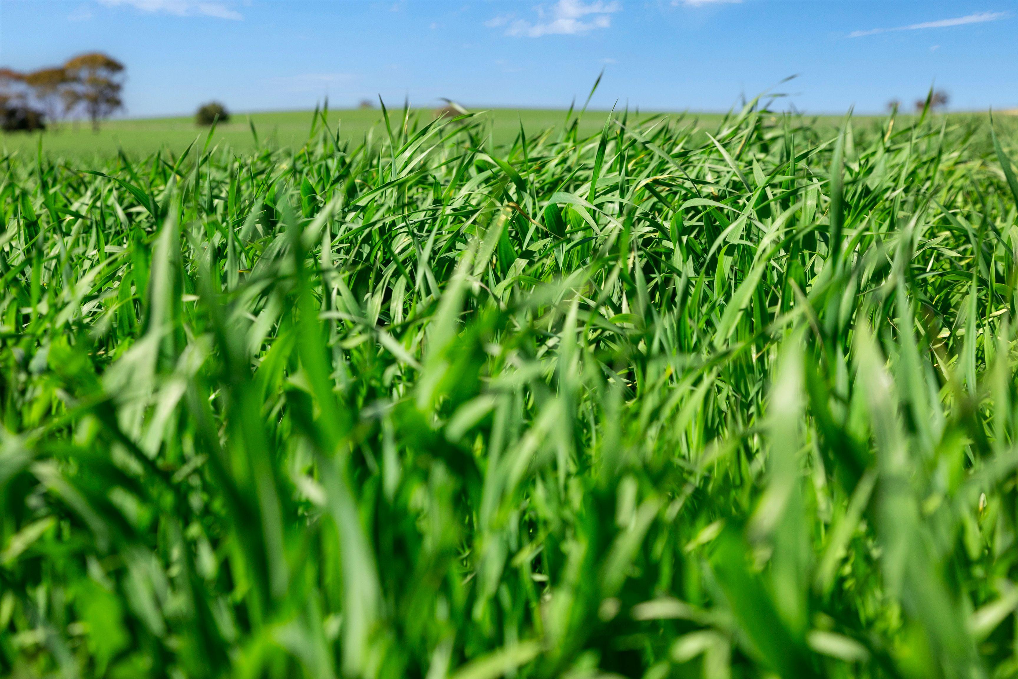High-Quality Arable Land in Proven Farming Region