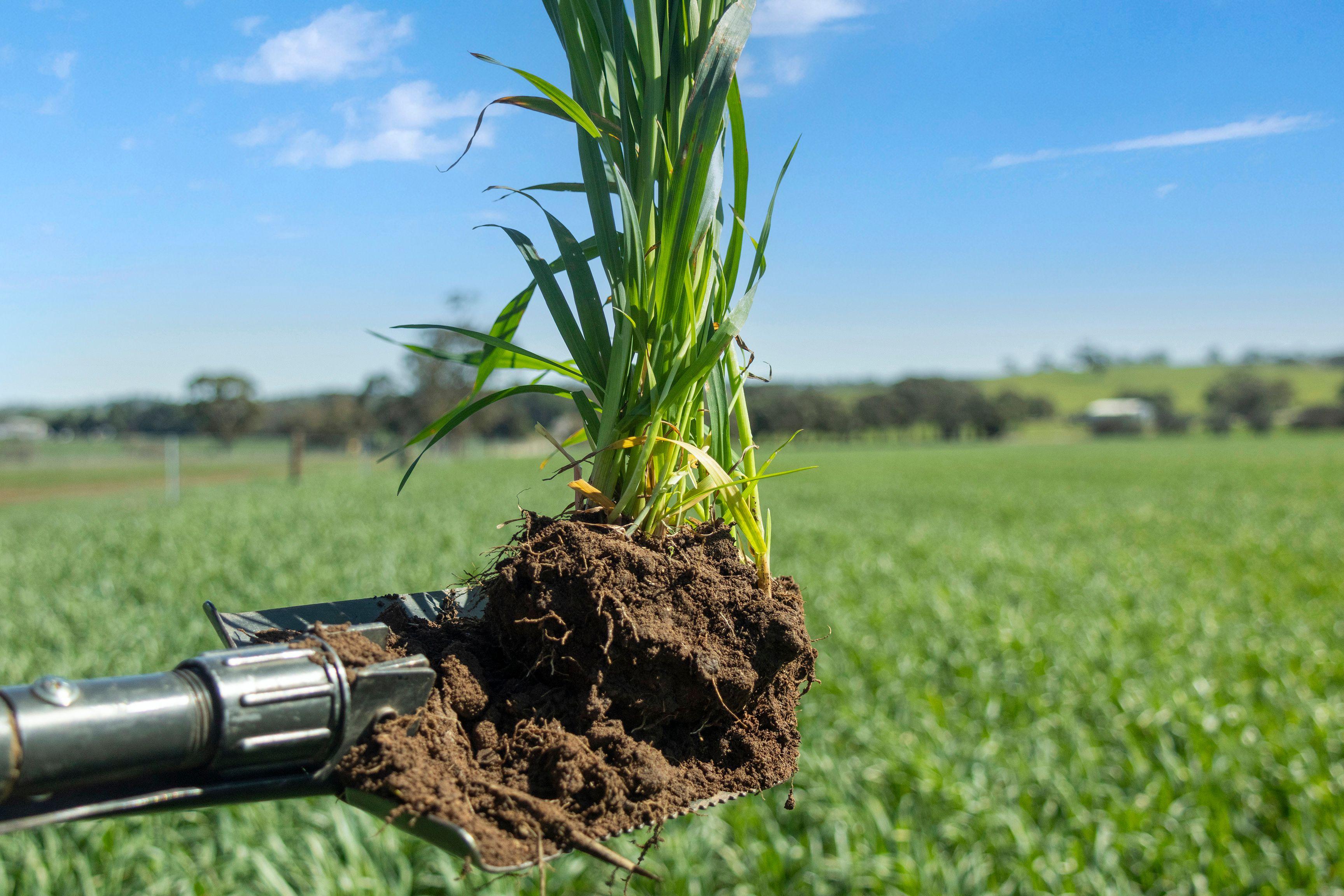 High-Quality Arable Land in Proven Farming Region