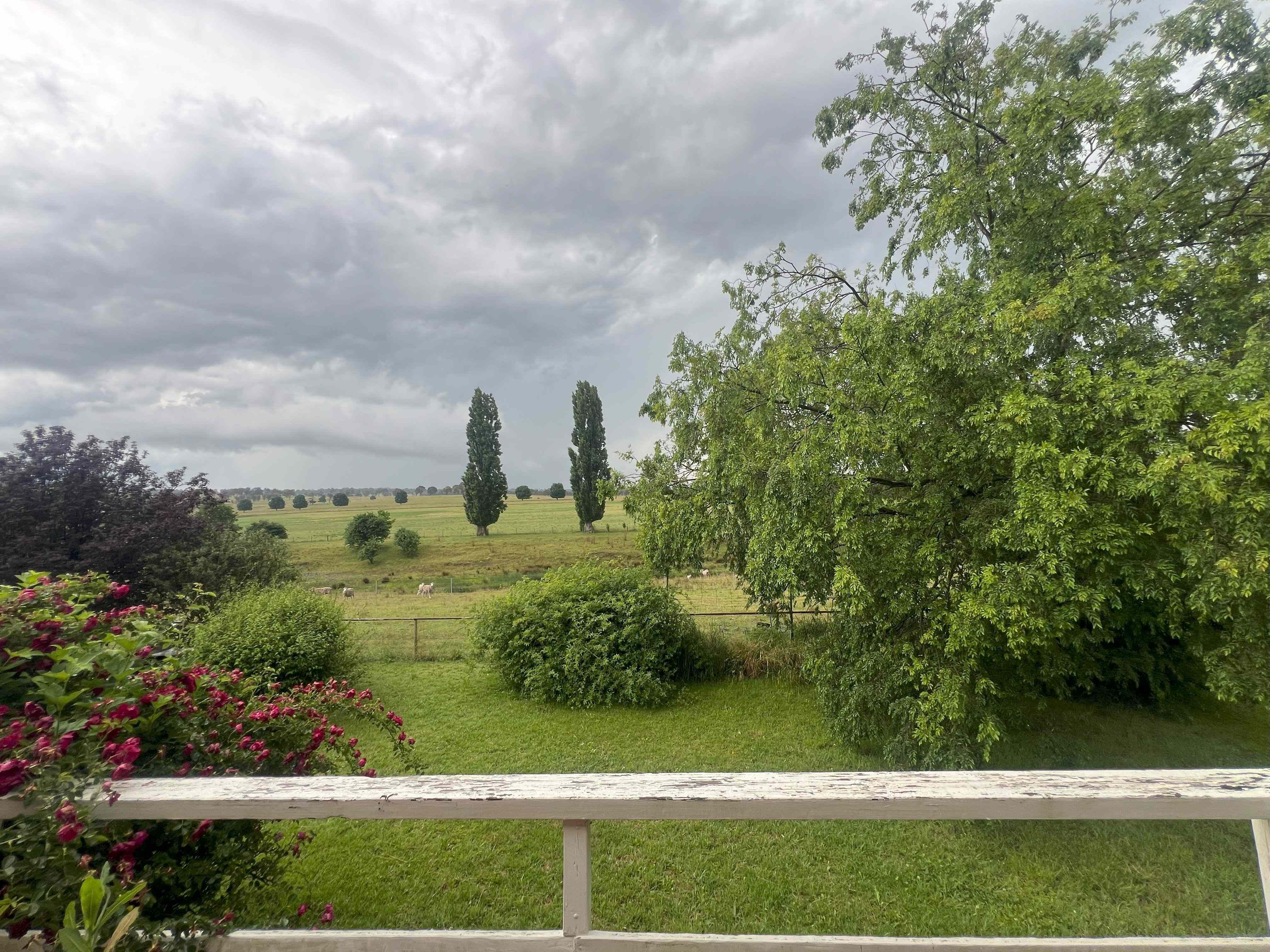 Home For Rent: NSW East Armidale, NSW 2350 House | Prop-GPT the AI-Powered Property Portal