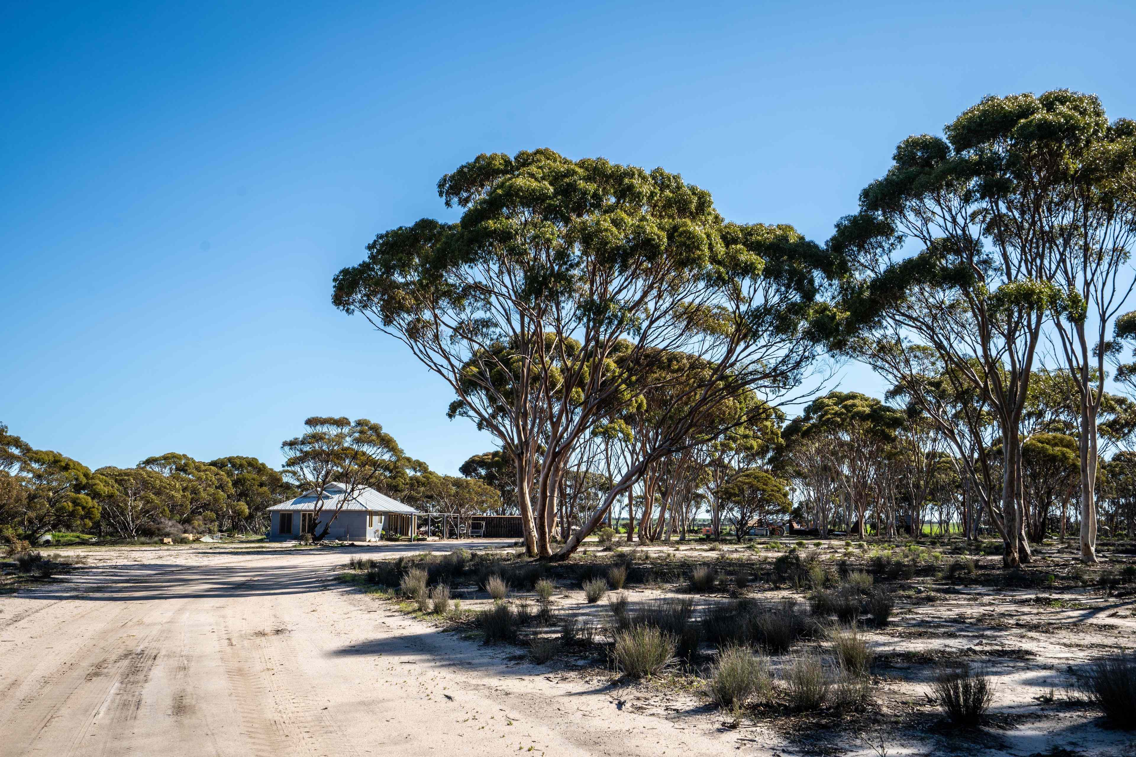 Rural: WA Pingrup, WA 6343 Cropping | Prop-GPT the AI-Powered Property Portal