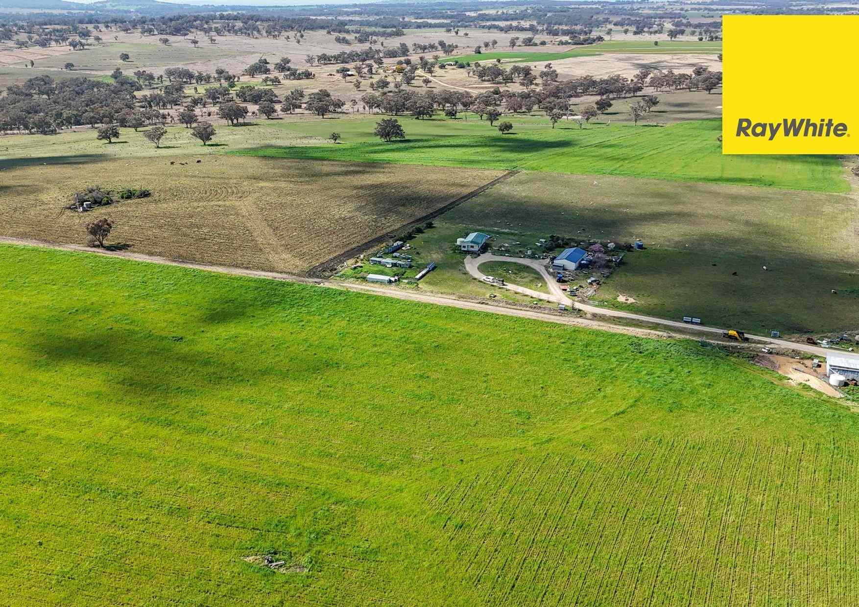 Rural: NSW Inverell, NSW 2360 Lifestyle | Prop-GPT the AI-Powered Property Portal