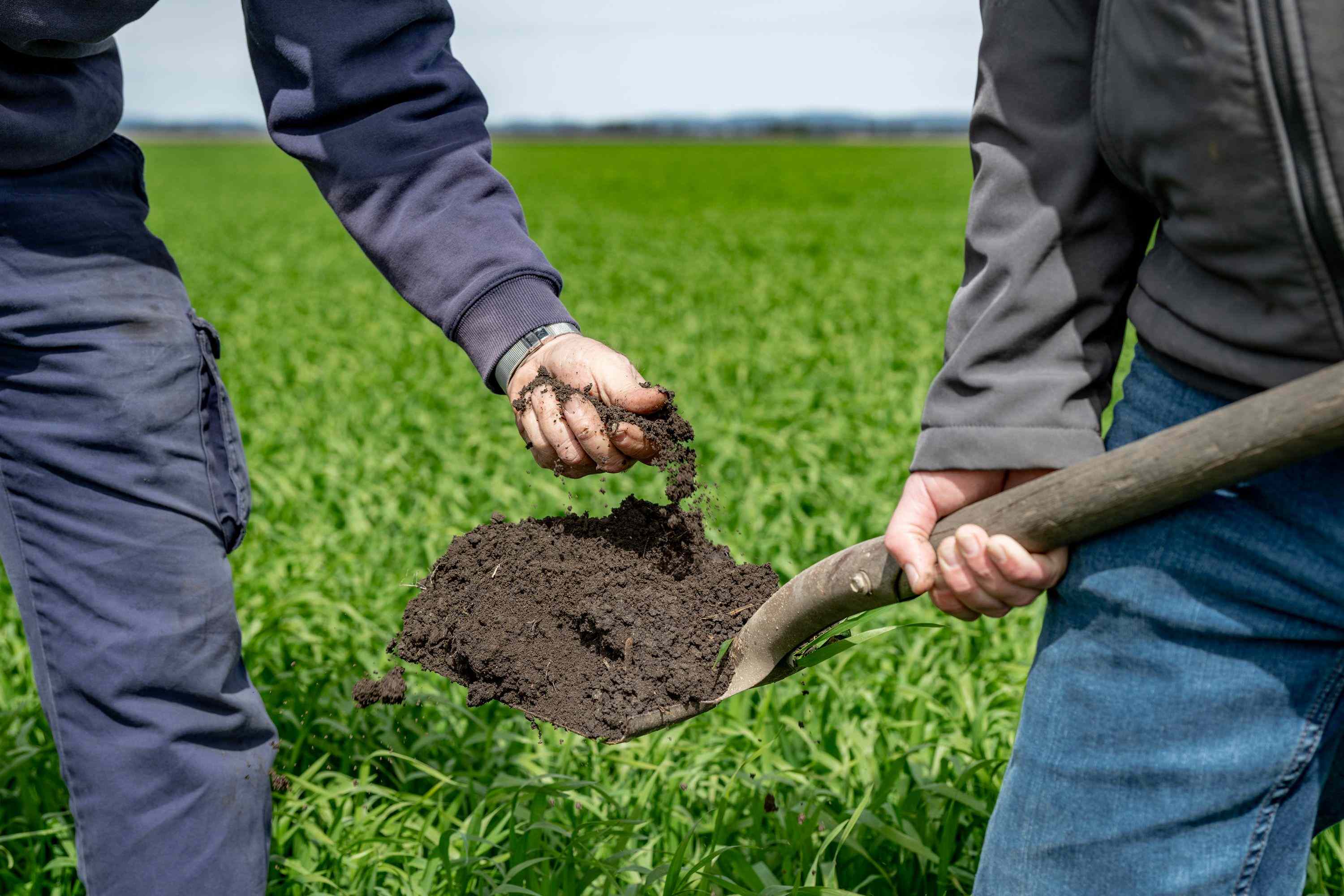 Rural: QLD Pittsworth, QLD 4356 Cropping | Prop-GPT the AI-Powered Property Portal