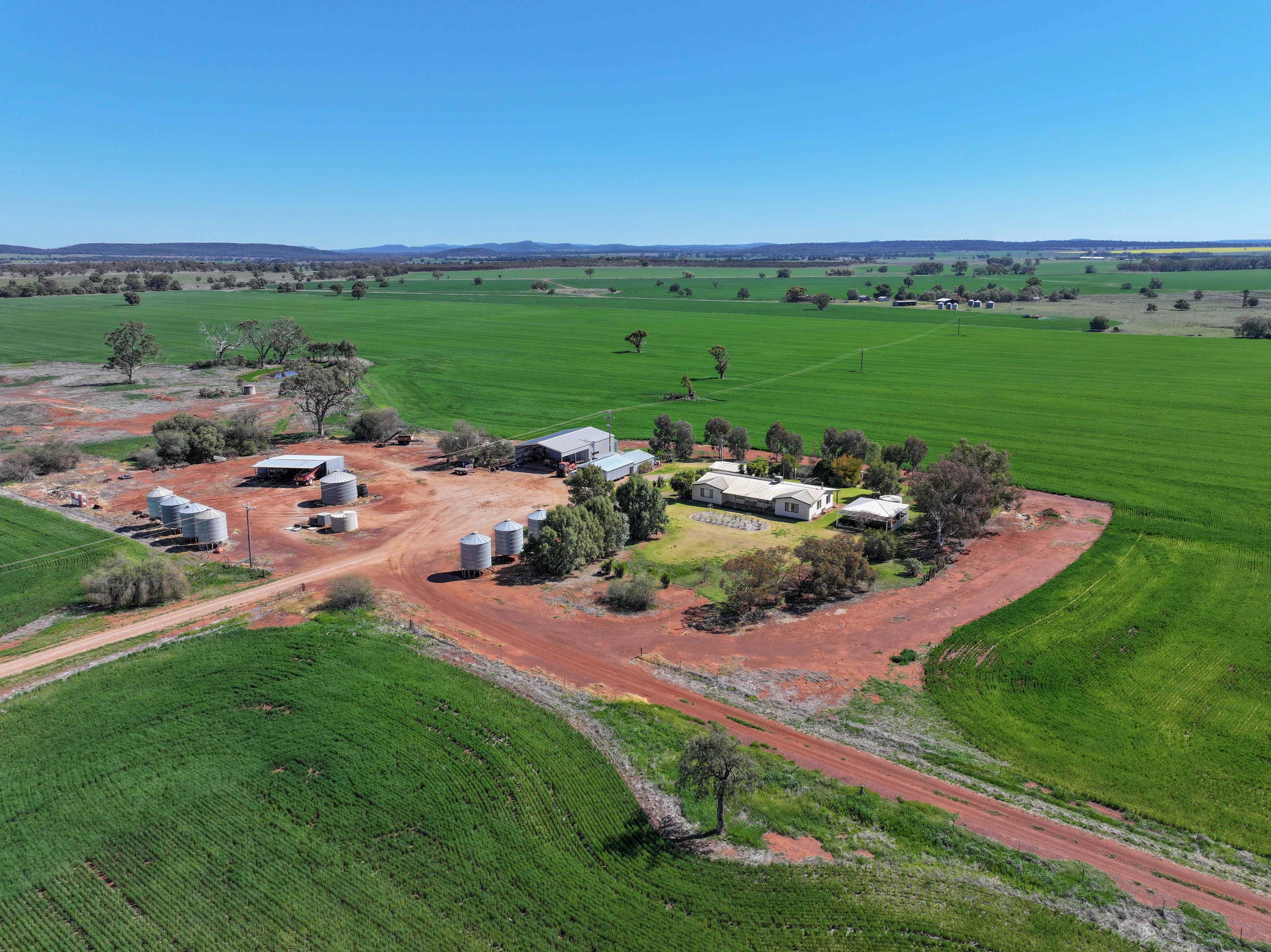 Rural: NSW Gunningbland, NSW 2876 Cropping | Prop-GPT the AI-Powered Property Portal
