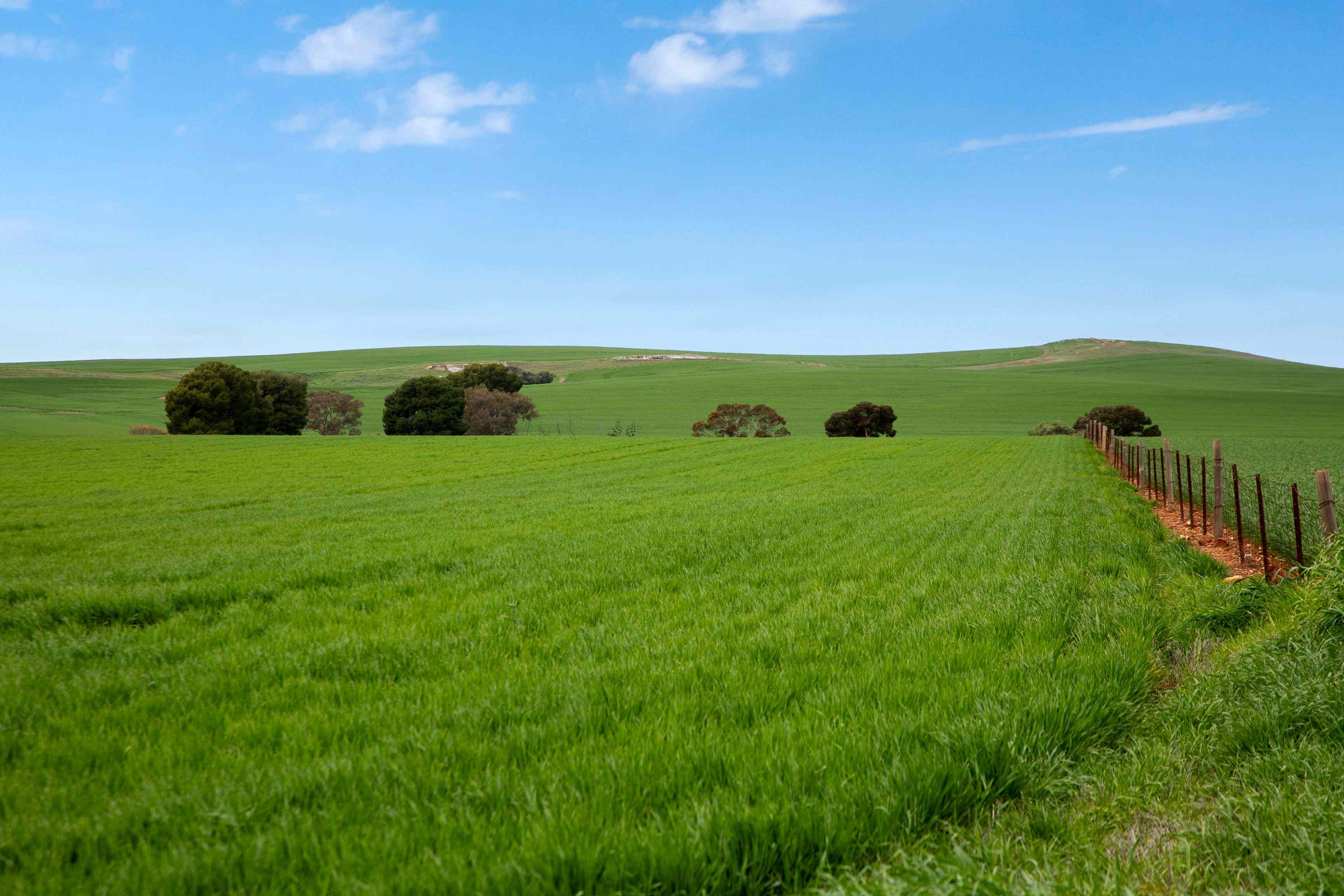 Rural: SA Georgetown, SA 5472 Cropping | Prop-GPT the AI-Powered Property Portal