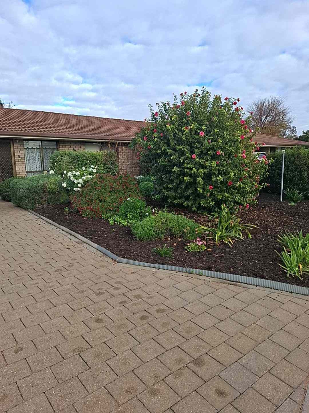 Home For Rent: SA Loxton, SA 5333 House | Prop-GPT the AI-Powered Property Portal