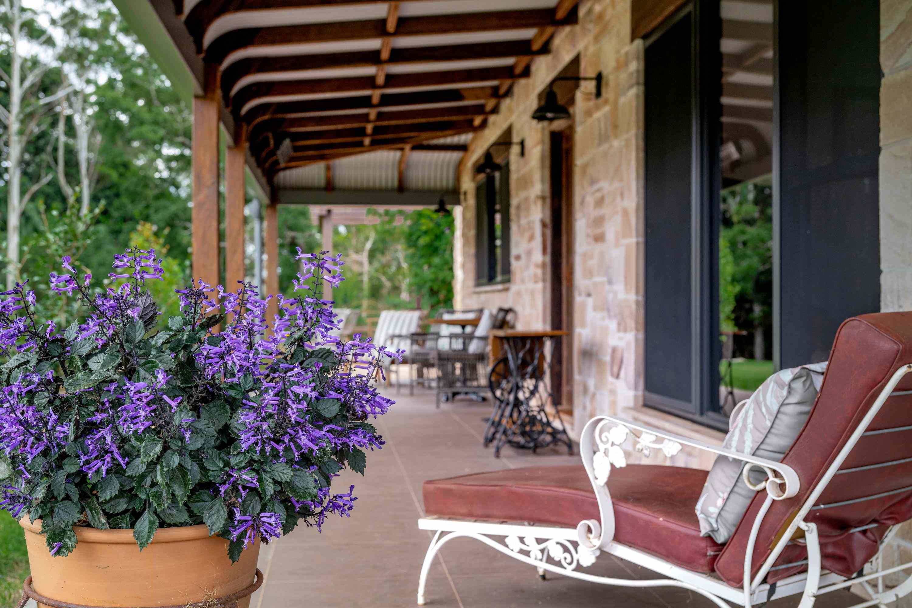 Rural: QLD Tamborine Mountain, QLD 4272 Lifestyle | Prop-GPT the AI-Powered Property Portal