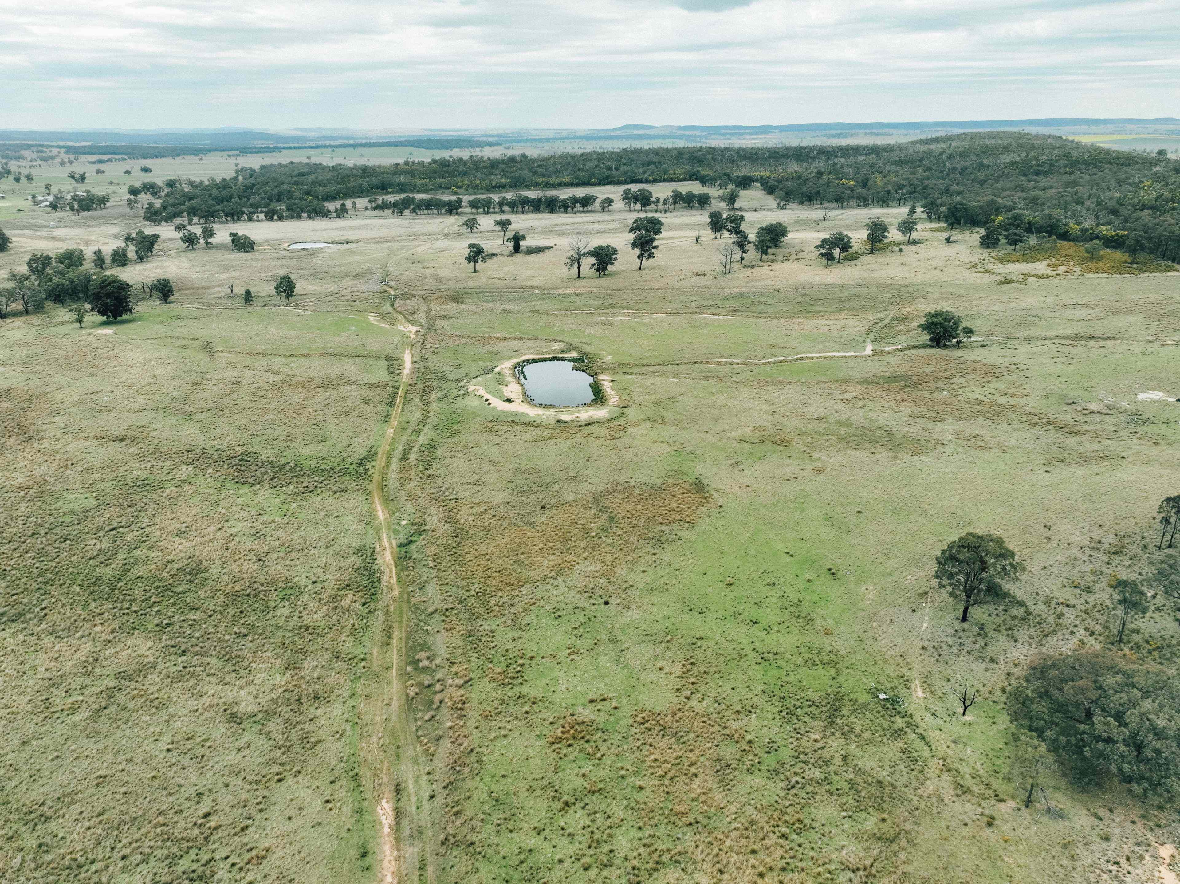 Rural: NSW Dunedoo, NSW 2844 Mixed Farming | Prop-GPT the AI-Powered Property Portal
