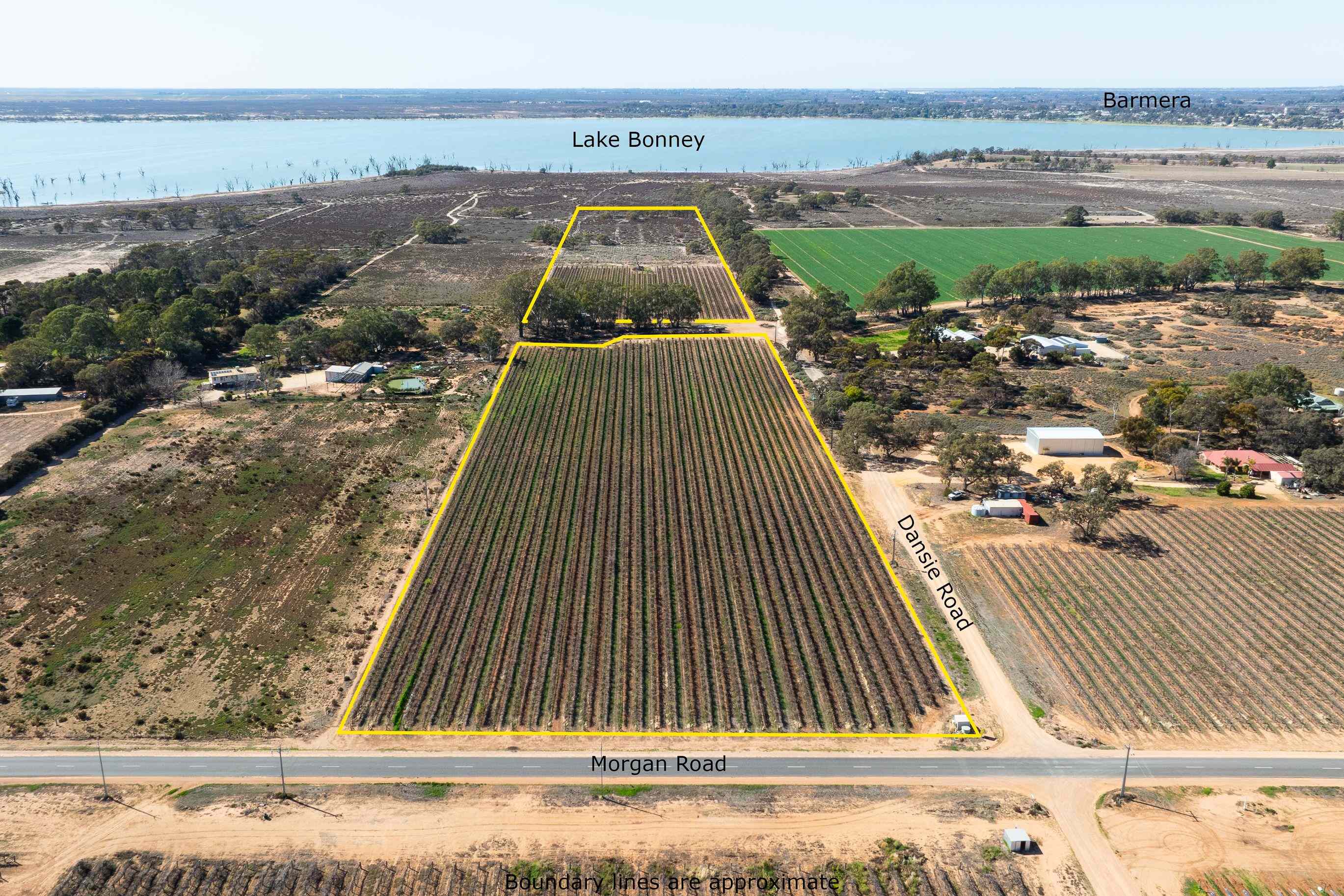 Rural: SA Barmera, SA 5345 Viticulture | Prop-GPT the AI-Powered Property Portal