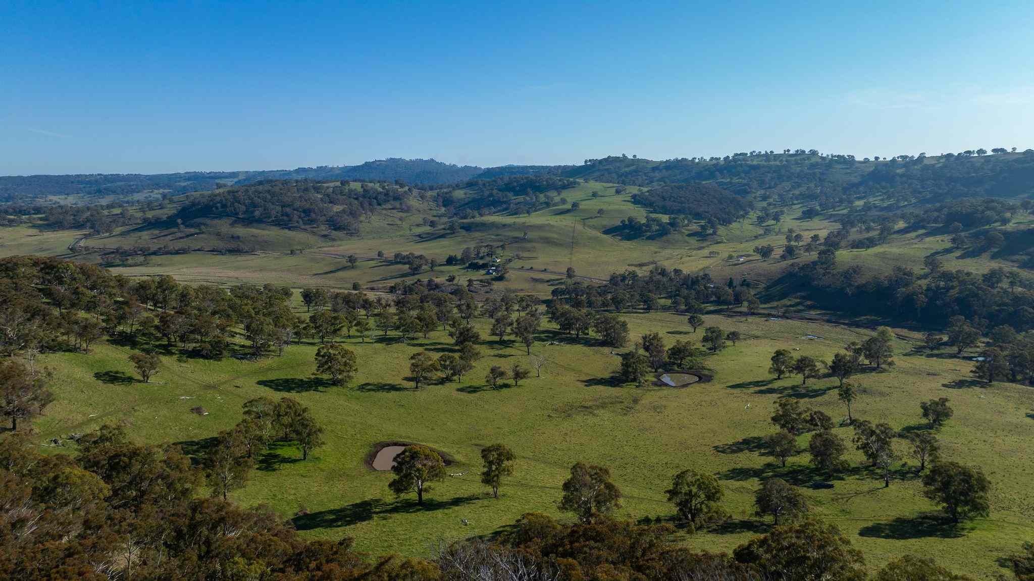Rural: NSW Ben Lomond, NSW 2365 Mixed Farming | Prop-GPT the AI-Powered Property Portal