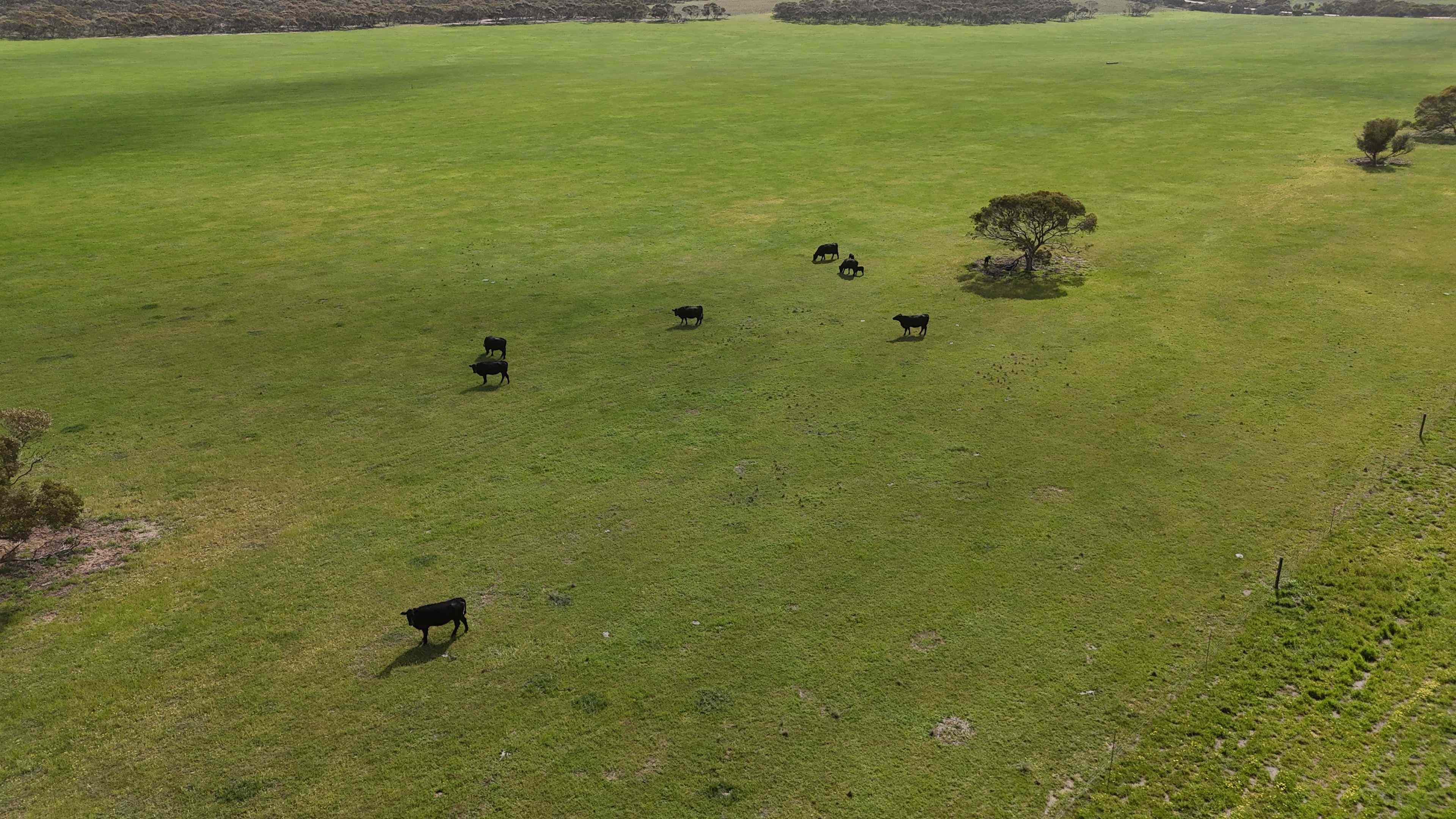 Rural: SA Parrakie, SA 5301 Other | Prop-GPT the AI-Powered Property Portal