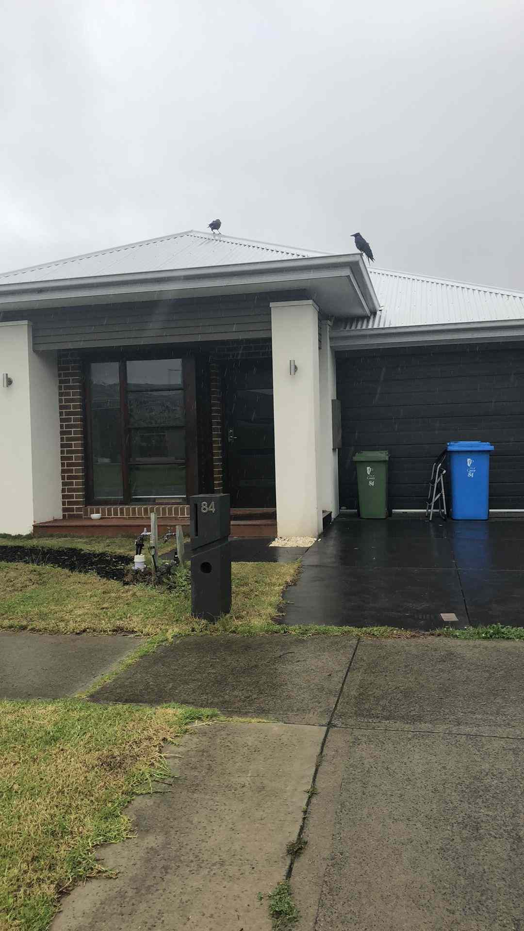 Home For Rent: VIC Clyde North, VIC 3978 House | Prop-GPT the AI-Powered Property Portal