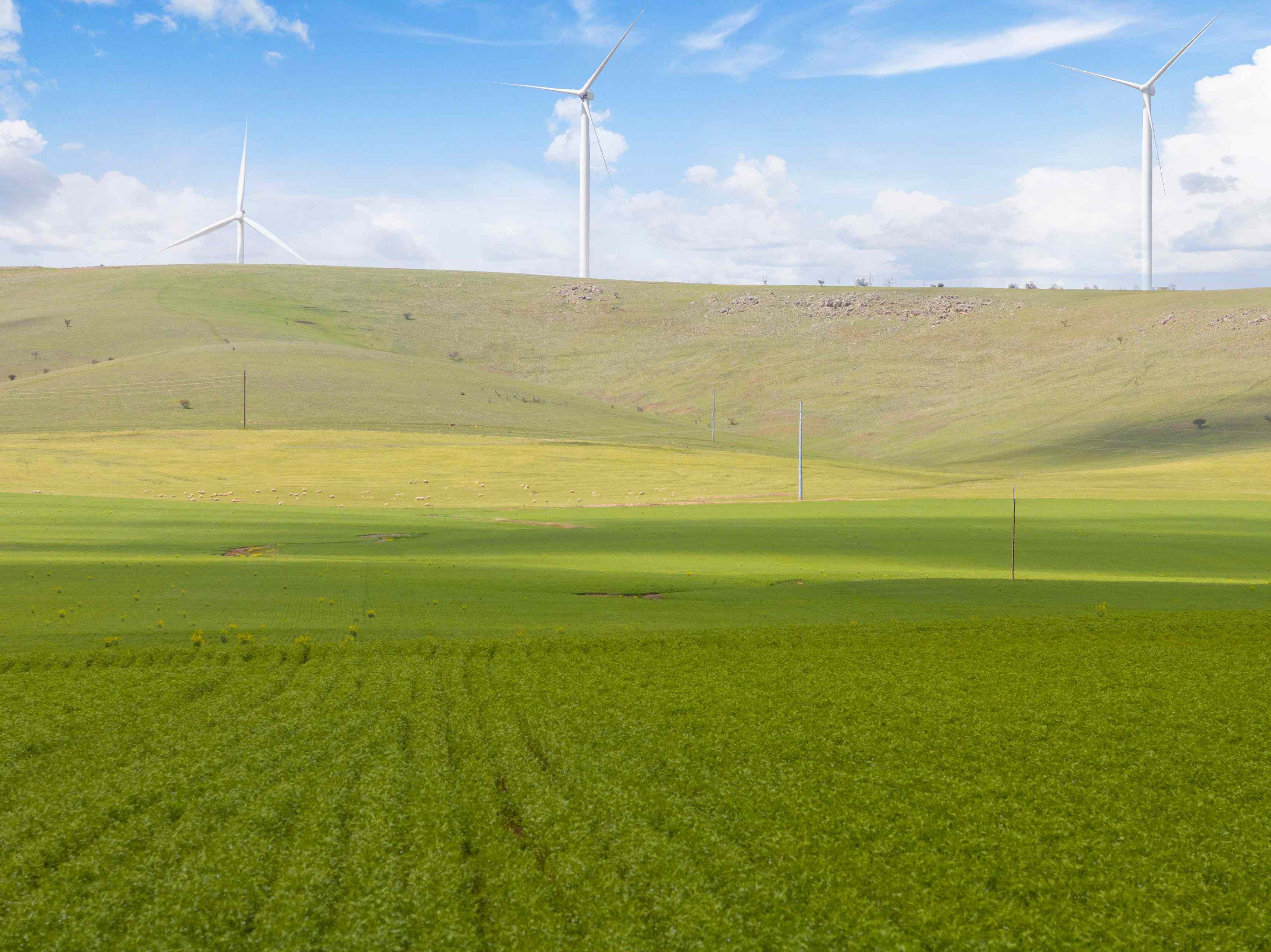 Rural: SA Mundoora, SA 5555 Cropping | Prop-GPT the AI-Powered Property Portal