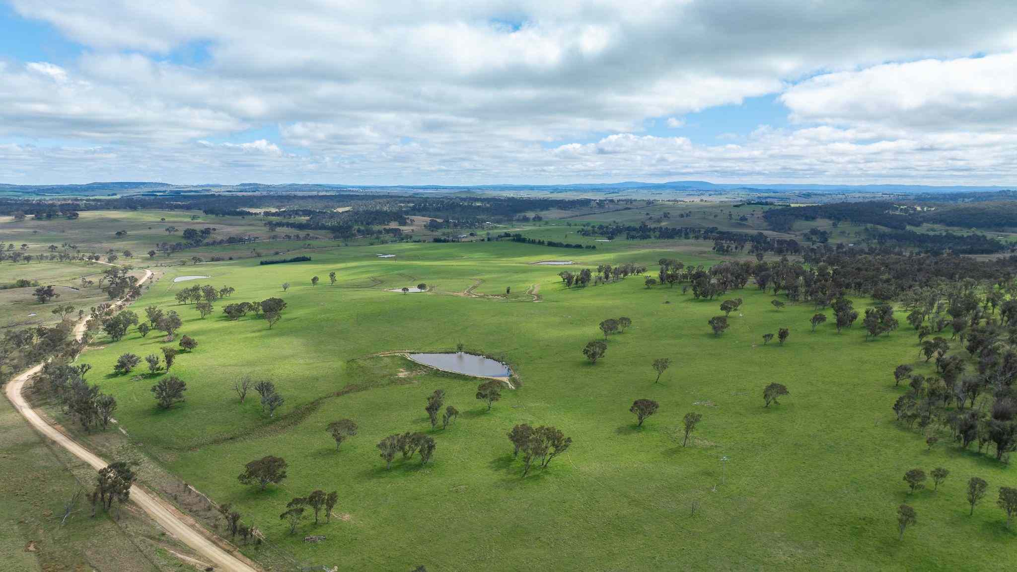 Rural: NSW East Armidale, NSW 2350 Cropping | Prop-GPT the AI-Powered Property Portal