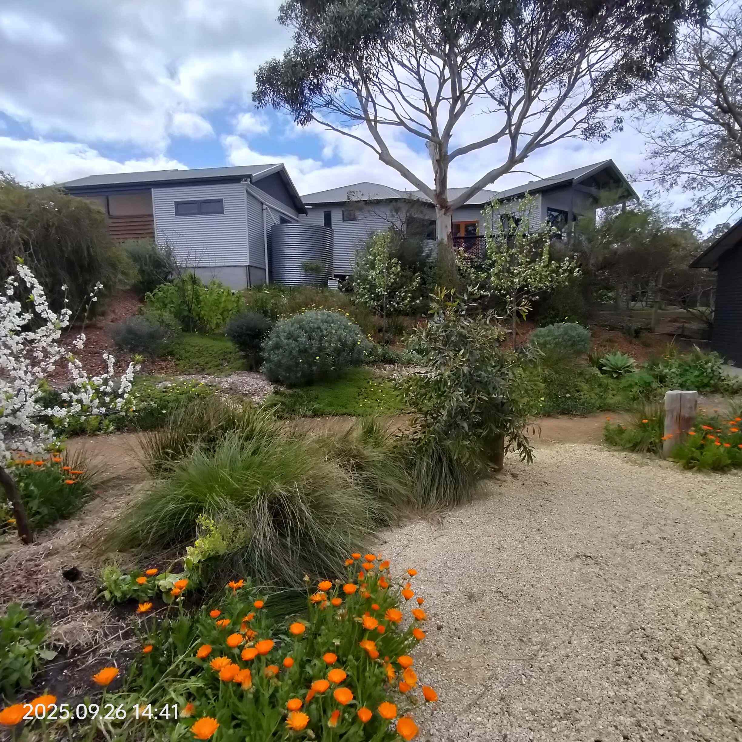 Home For Rent: WA Denmark, WA 6333 House | Prop-GPT the AI-Powered Property Portal