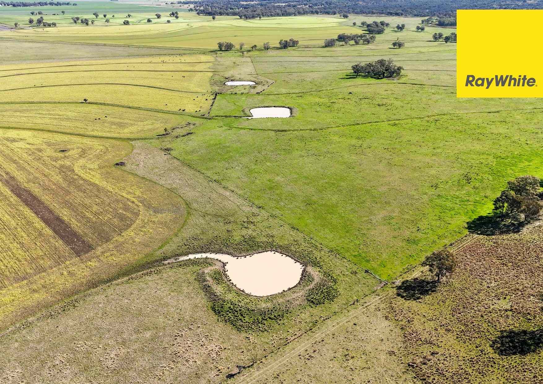 Rural: NSW Inverell, NSW 2360 Mixed Farming | Prop-GPT the AI-Powered Property Portal