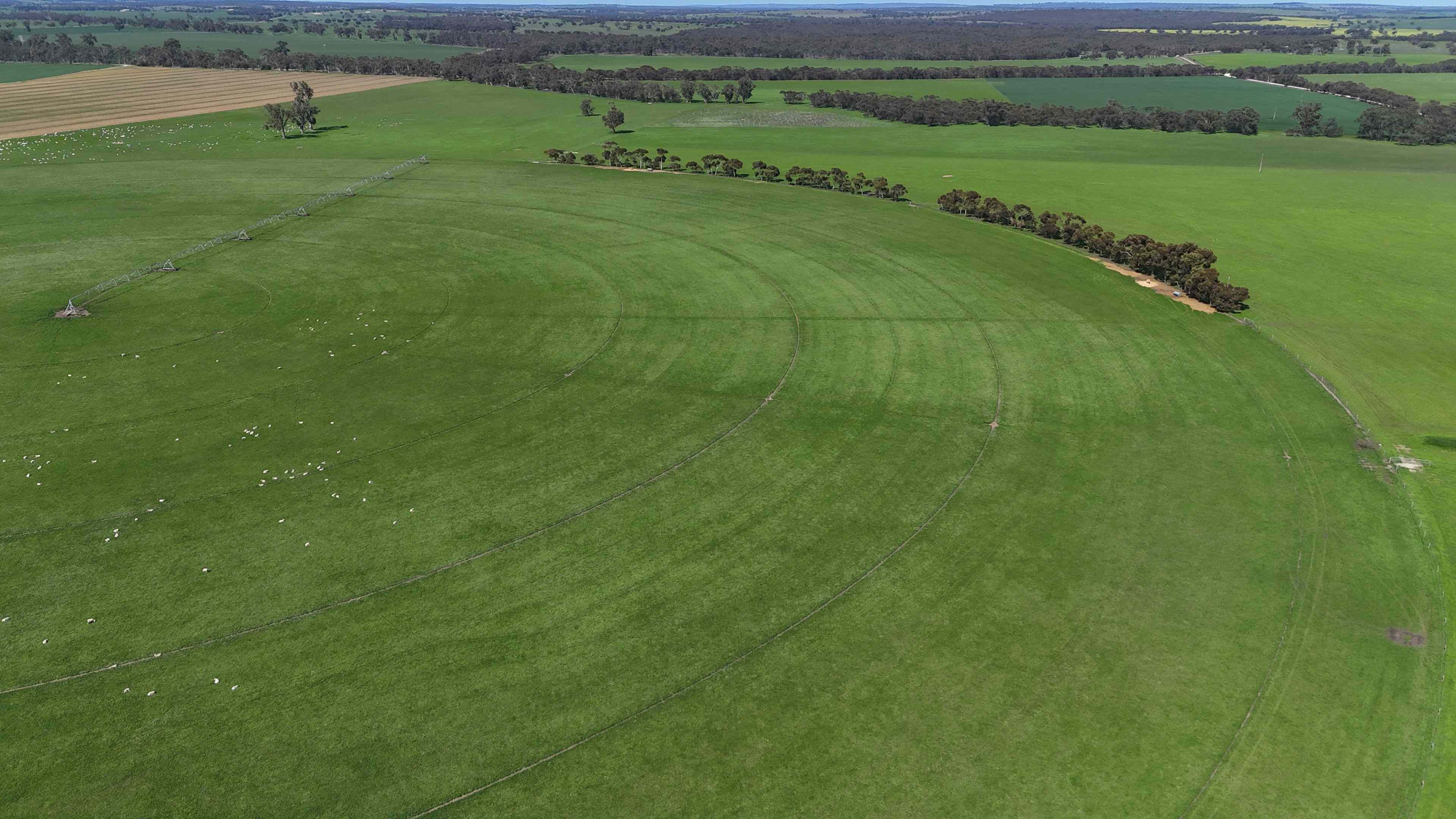 Rural: SA Mundulla West, SA 5270 Mixed Farming | Prop-GPT the AI-Powered Property Portal