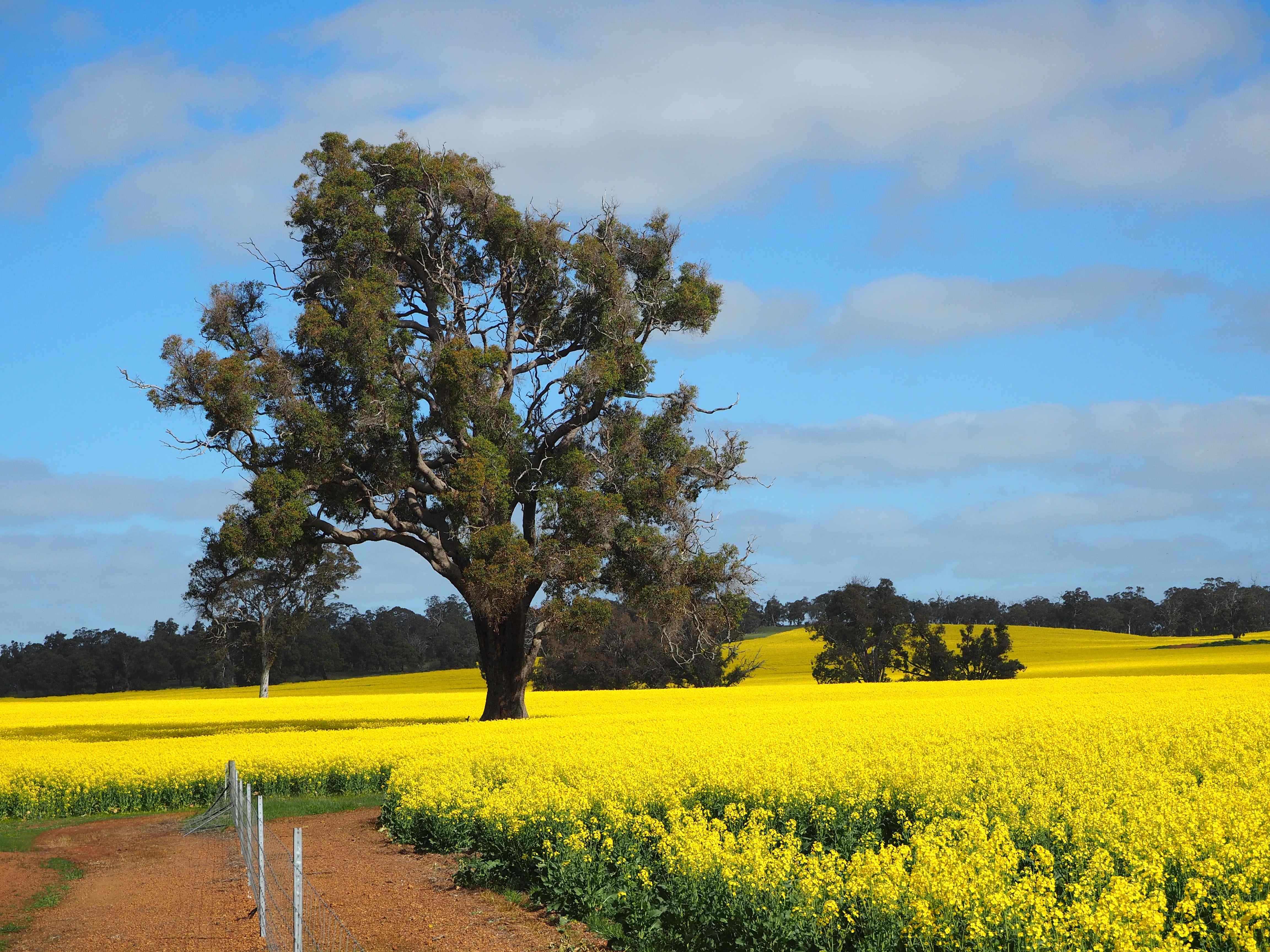 Kilburnie, West Broomehill: WA Broomehill West, WA 6318 Mixed Farming | Prop-GPT the AI-Powered Property Portal