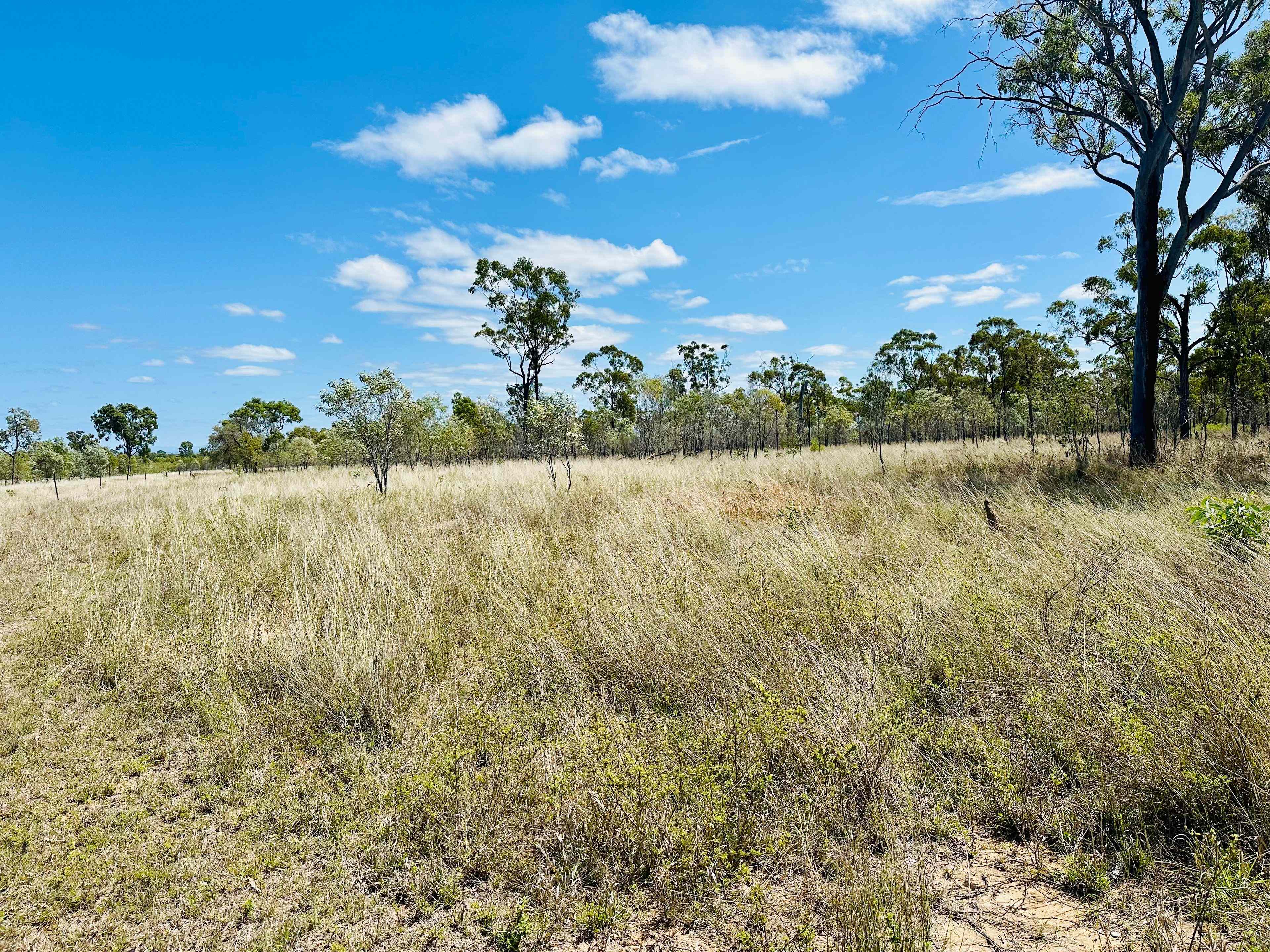 Premium Goldfields Breeding, Backgrounding & Fattening: QLD Charters Towers, QLD 4820 Other | Prop-GPT the AI-Powered Property Portal