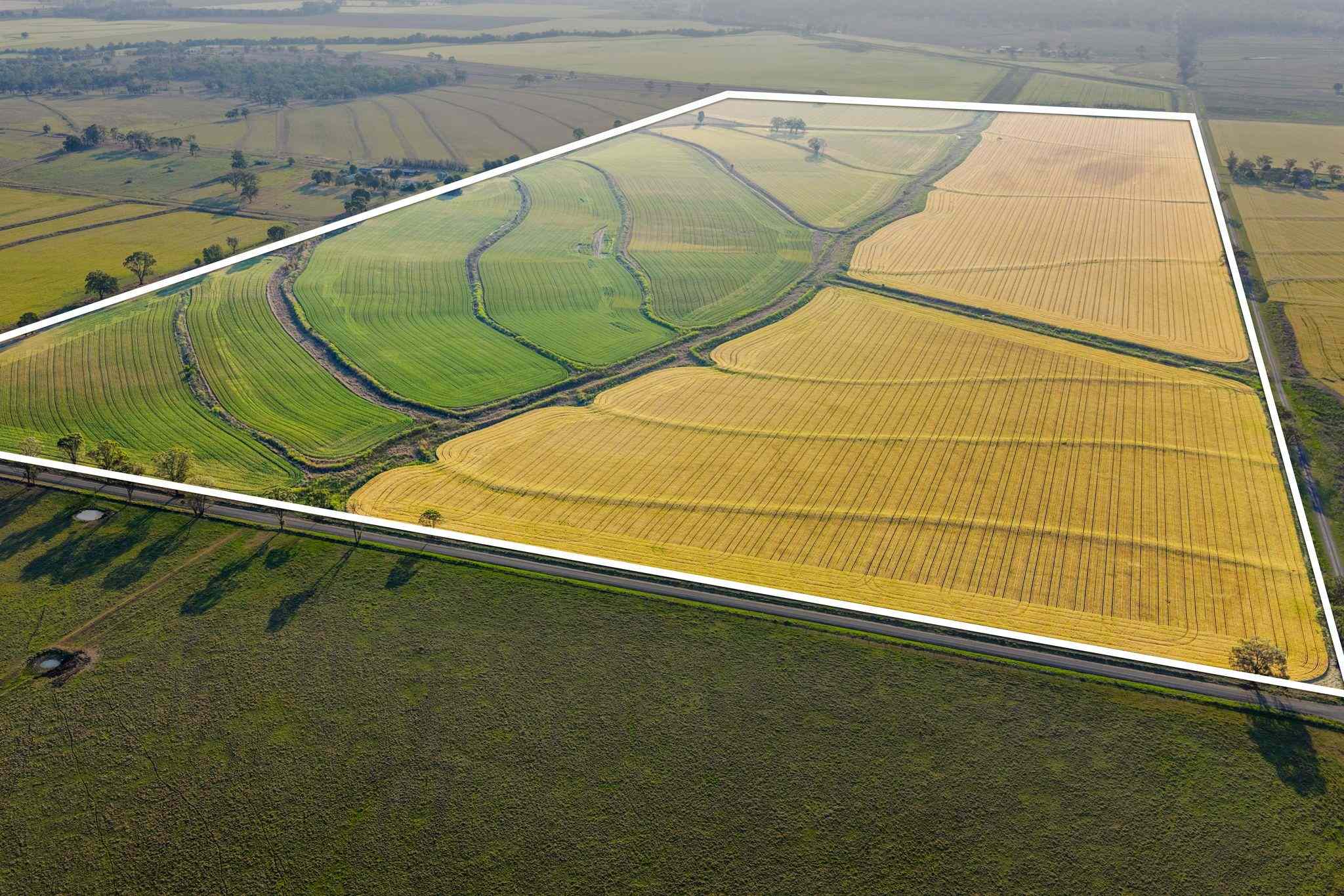 Blue Ribbon Cultivation presented for Auction: QLD Talgai, QLD 4362 Cropping | Prop-GPT the AI-Powered Property Portal