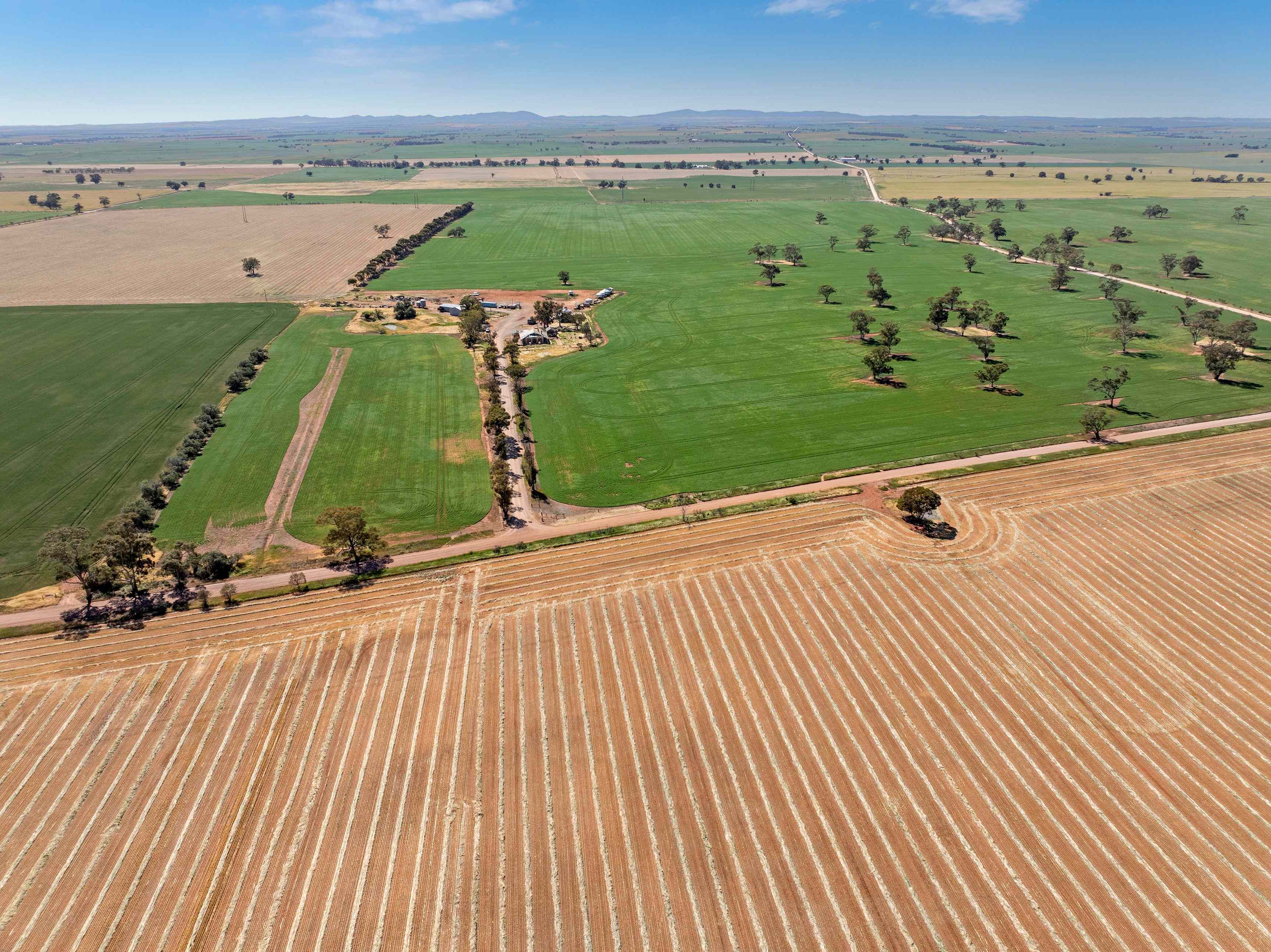 High Rainfall Cropping - Vendors Committed to Sale: SA Melrose, SA 5483 Cropping | Prop-GPT the AI-Powered Property Portal