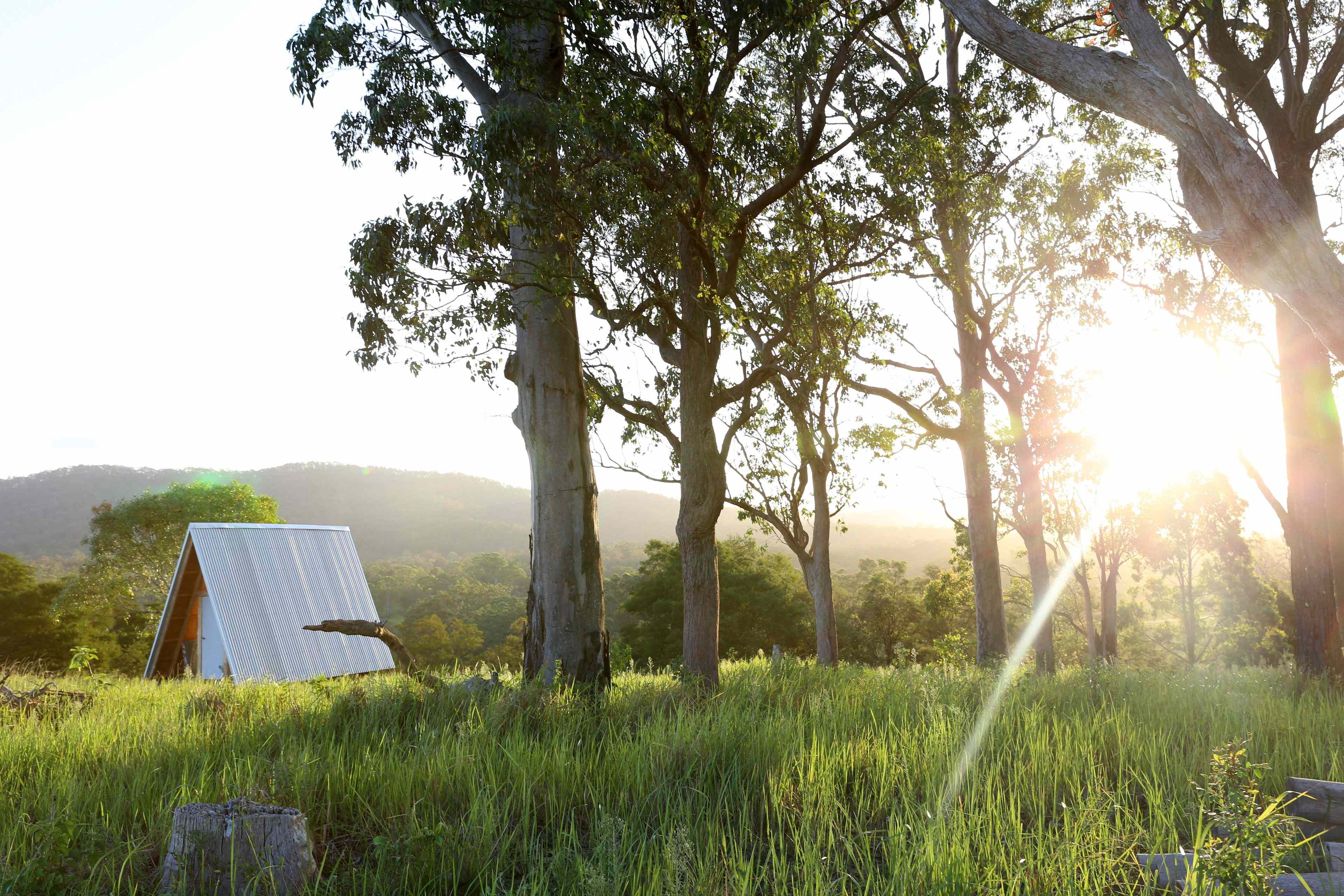 Bunyah Lifestyle: NSW Bunyah, NSW 2429 Mixed Farming | Prop-GPT the AI-Powered Property Portal