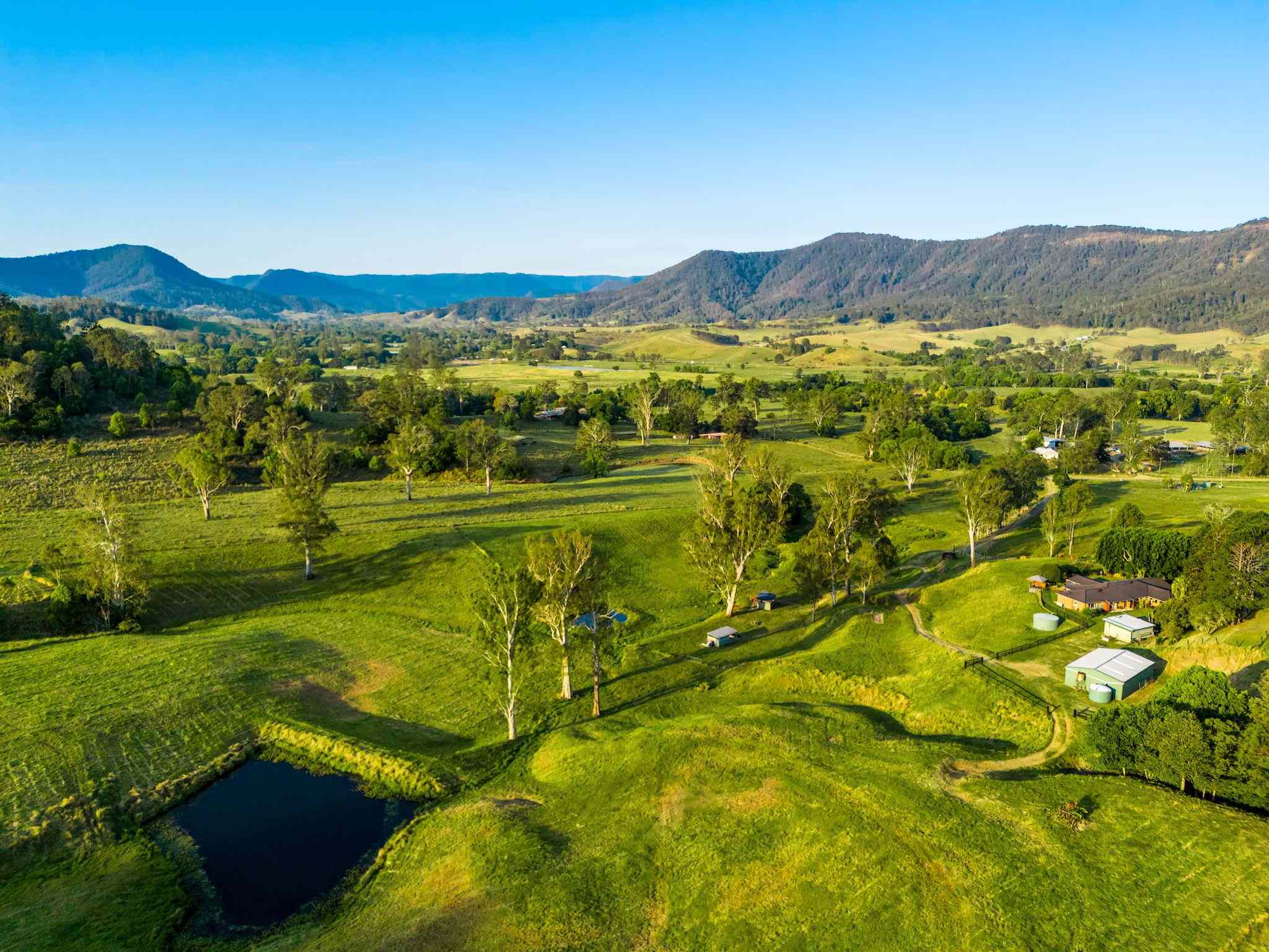 Scenic Grandeur Meets Ideal Stud Farm: NSW Kyogle, NSW 2474 Lifestyle | Prop-GPT the AI-Powered Property Portal