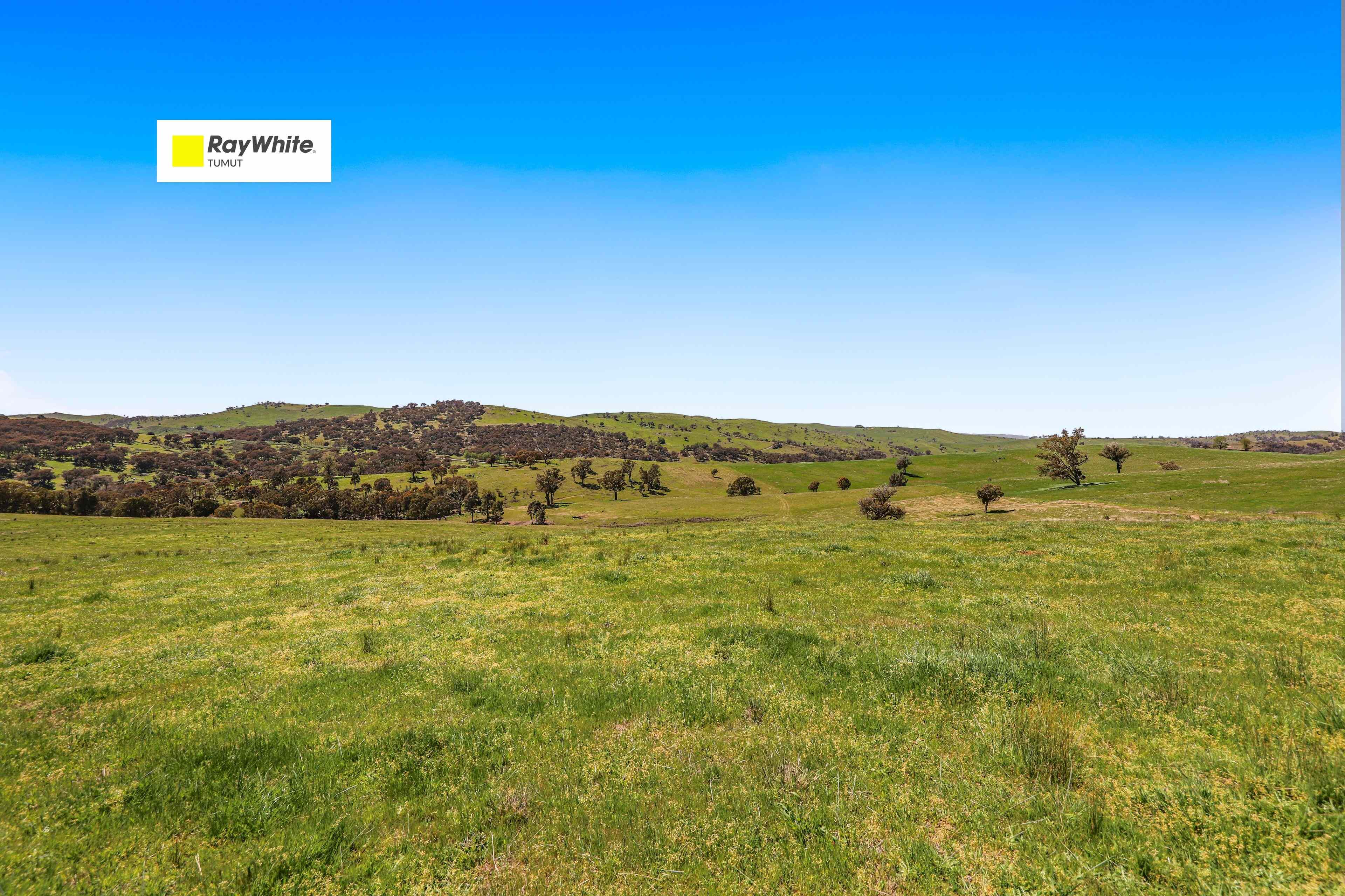 High Rainfall Grazing!: NSW Adelong, NSW 2729 Other | Prop-GPT the AI-Powered Property Portal