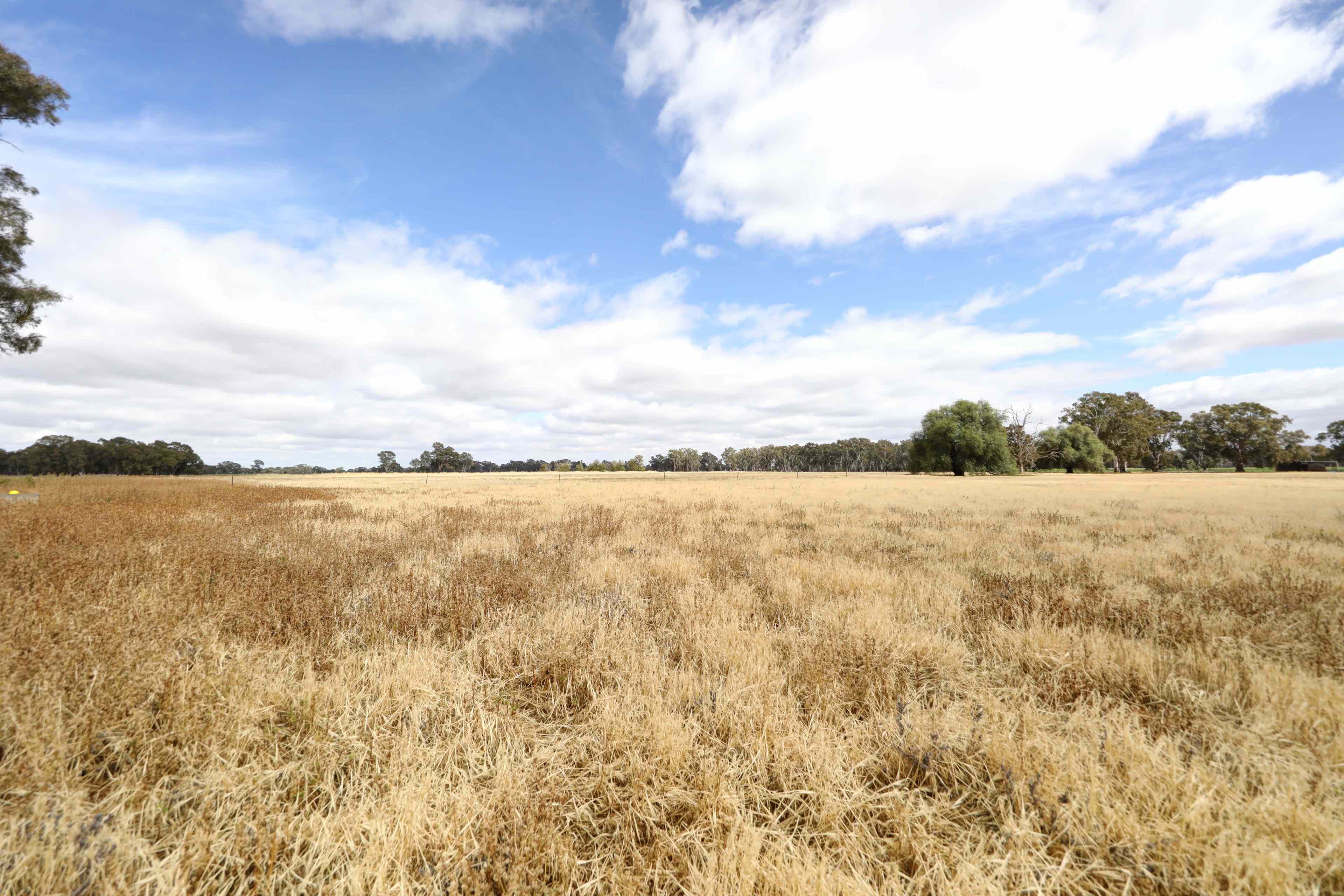Prime Land in the Murray Valley: VIC Cobram, VIC 3644 Cropping | Prop-GPT the AI-Powered Property Portal