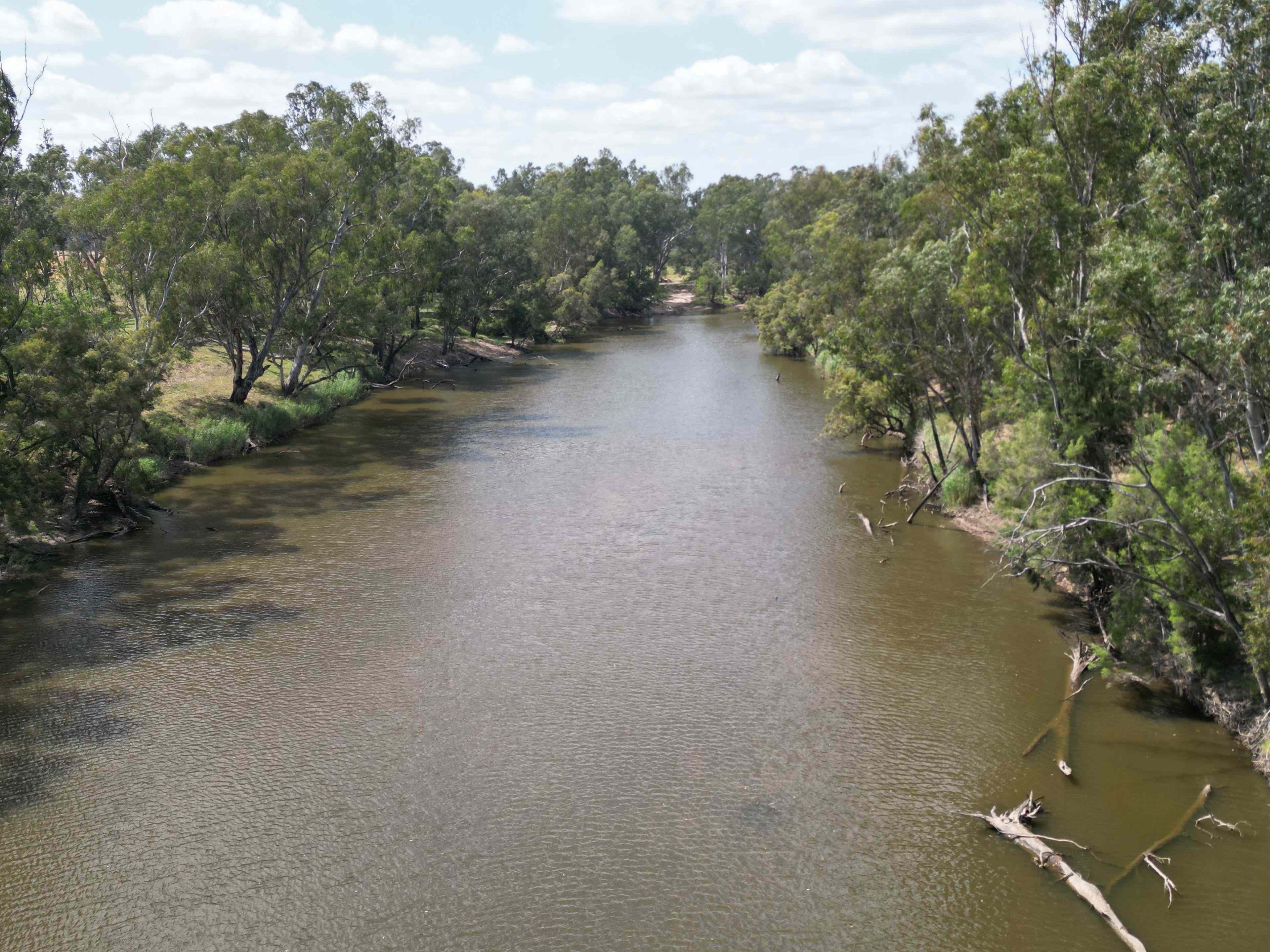 Dumaresq River Cropping Opportunity: NSW Twin Rivers, NSW 2410 Mixed Farming | Prop-GPT the AI-Powered Property Portal
