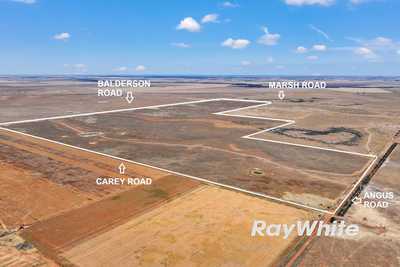 Upcoming Auction - 455 Acres (Approx.): VIC Patho, VIC 3564 Mixed Farming | Prop-GPT the AI-Powered Property Portal