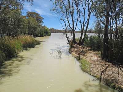 Unmatched Riverfront Freedom - 23 Acres of Pure Natural Beauty: SA Mcbean Pound, SA 5357 Other | Prop-GPT the AI-Powered Property Portal