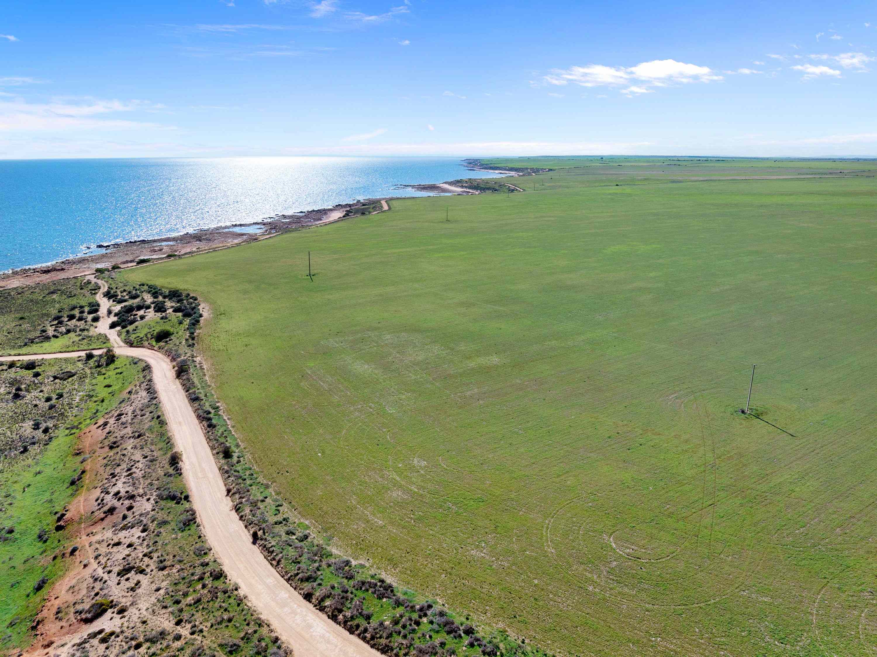 Rural: SA Wallaroo Plain, SA 5556 Cropping | Prop-GPT the AI-Powered Property Portal
