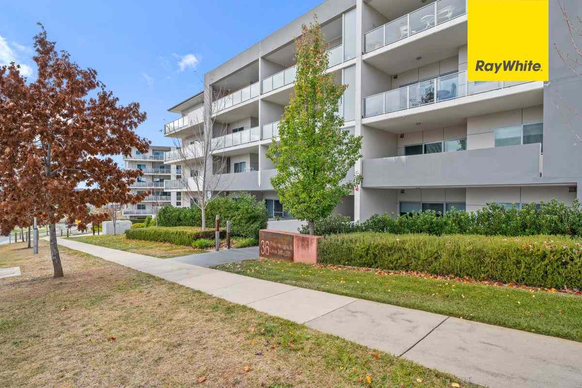 Prop-GPT: Apartment: ACT Wright, ACT 2611 Home For Rent