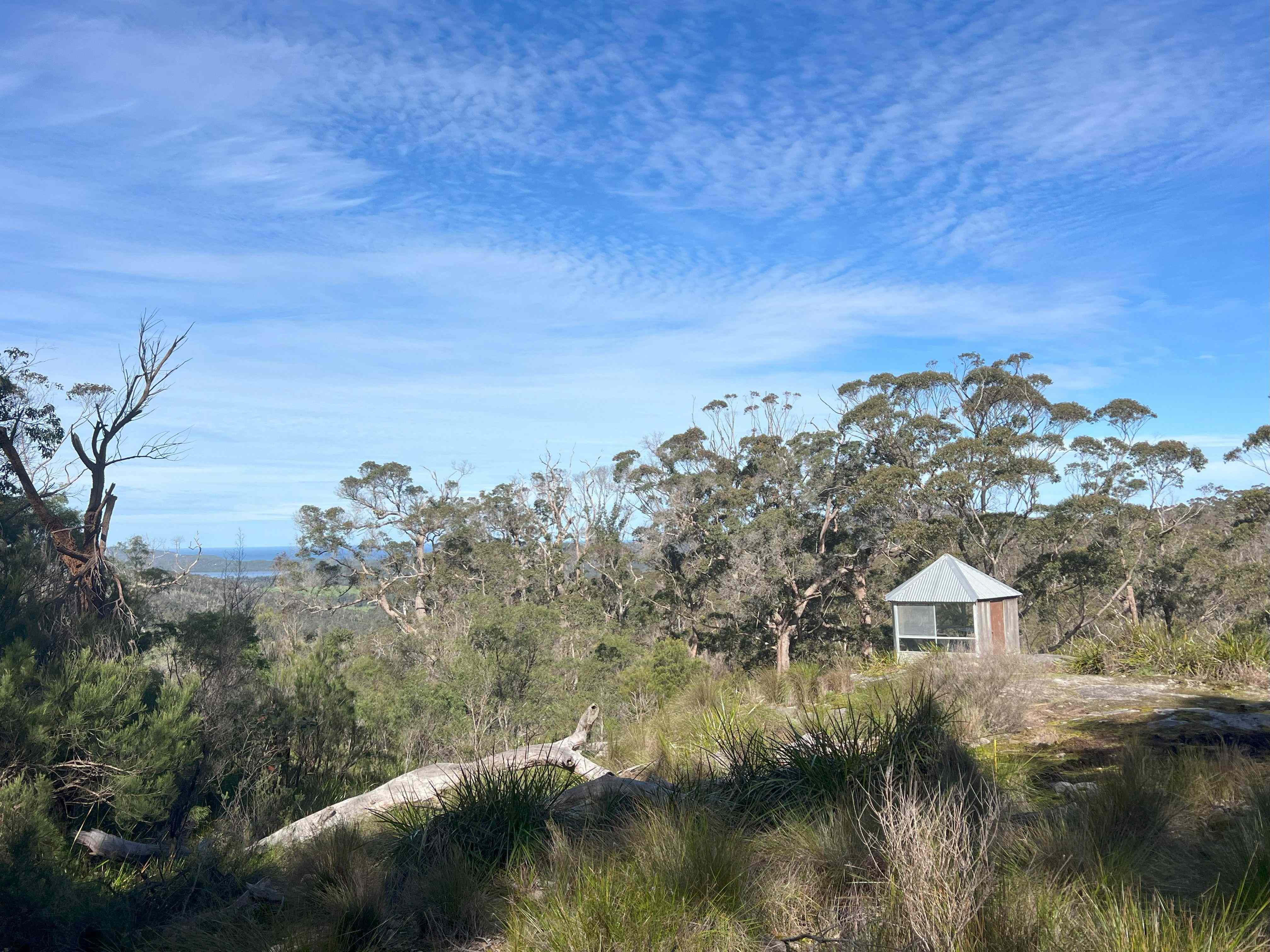 Rural: WA Shadforth, WA 6333 Lifestyle | Prop-GPT the AI-Powered Property Portal