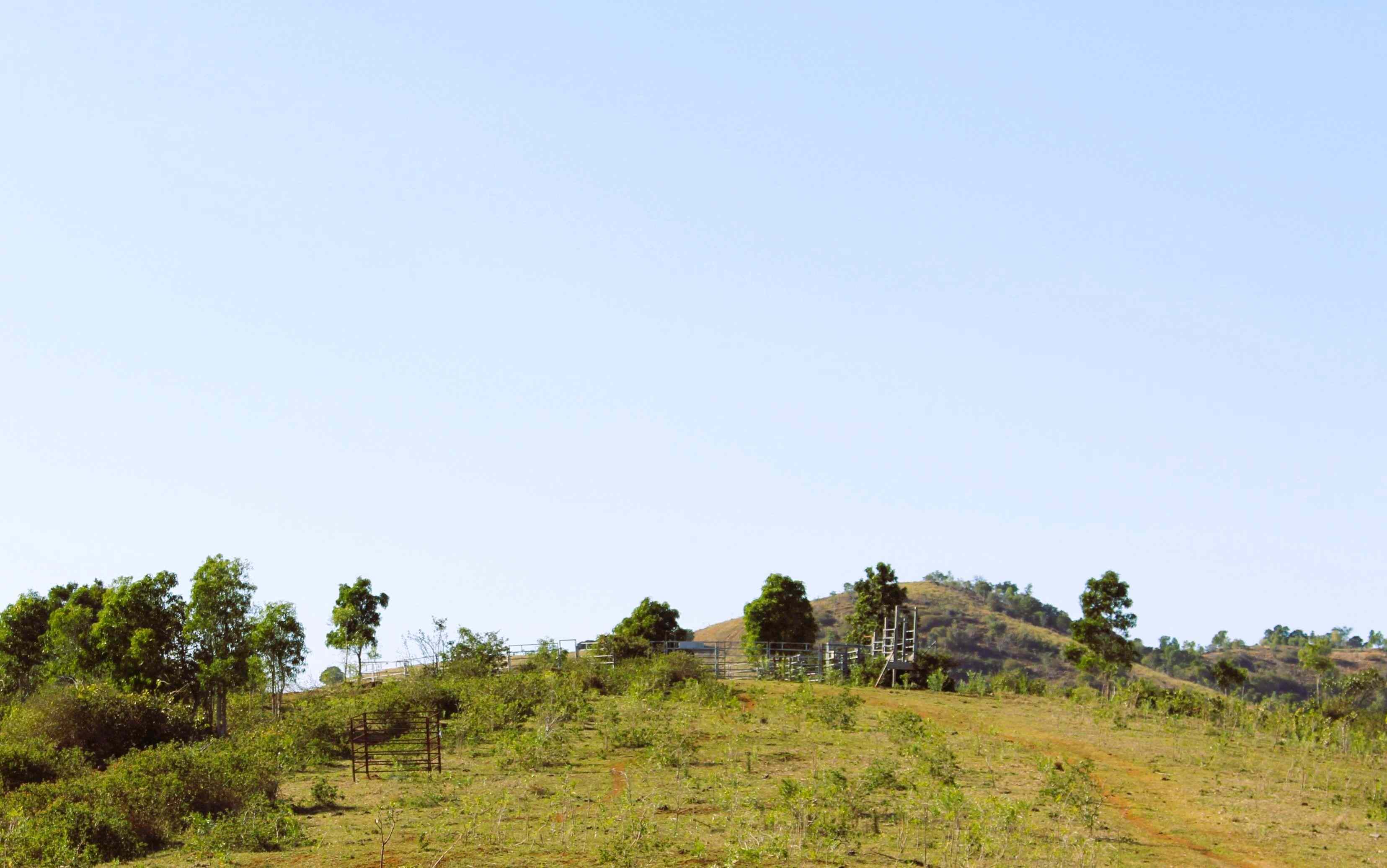 Rural: QLD Bracewell, QLD 4695 Other | Prop-GPT the AI-Powered Property Portal