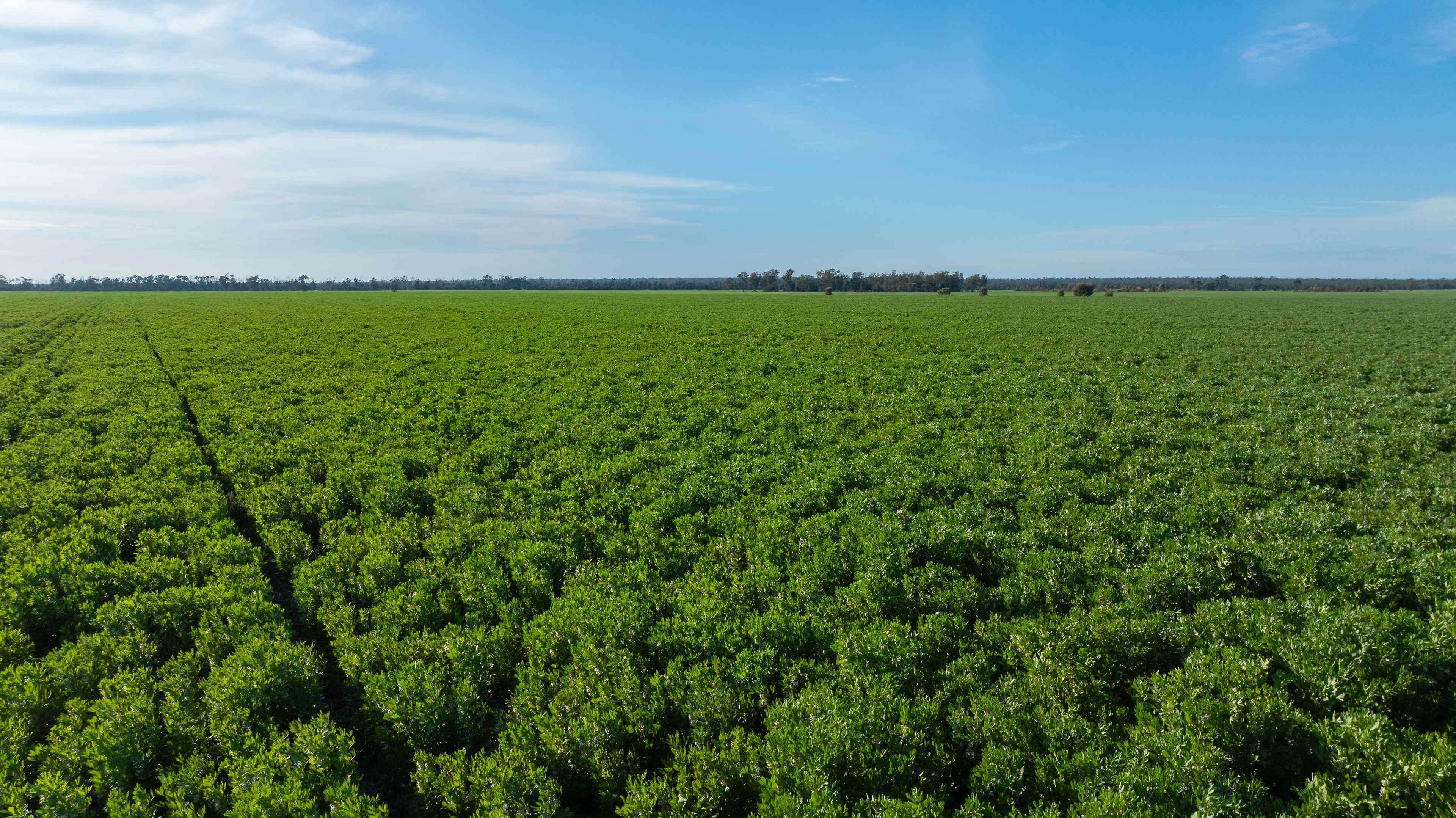 Rural: QLD Westmar, QLD 4422 Mixed Farming | Prop-GPT the AI-Powered Property Portal