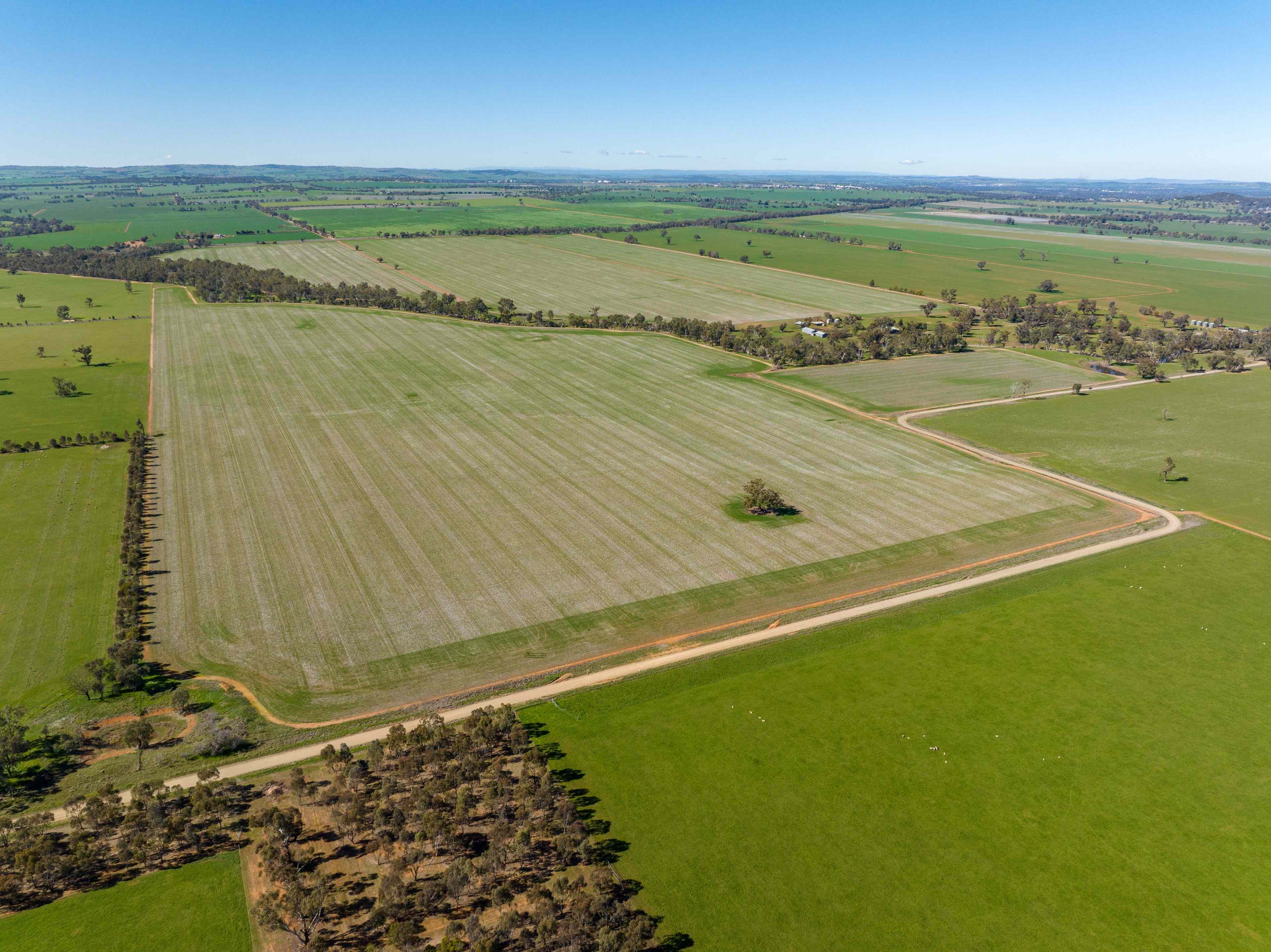 Rural: NSW Downside, NSW 2650 Mixed Farming | Prop-GPT the AI-Powered Property Portal