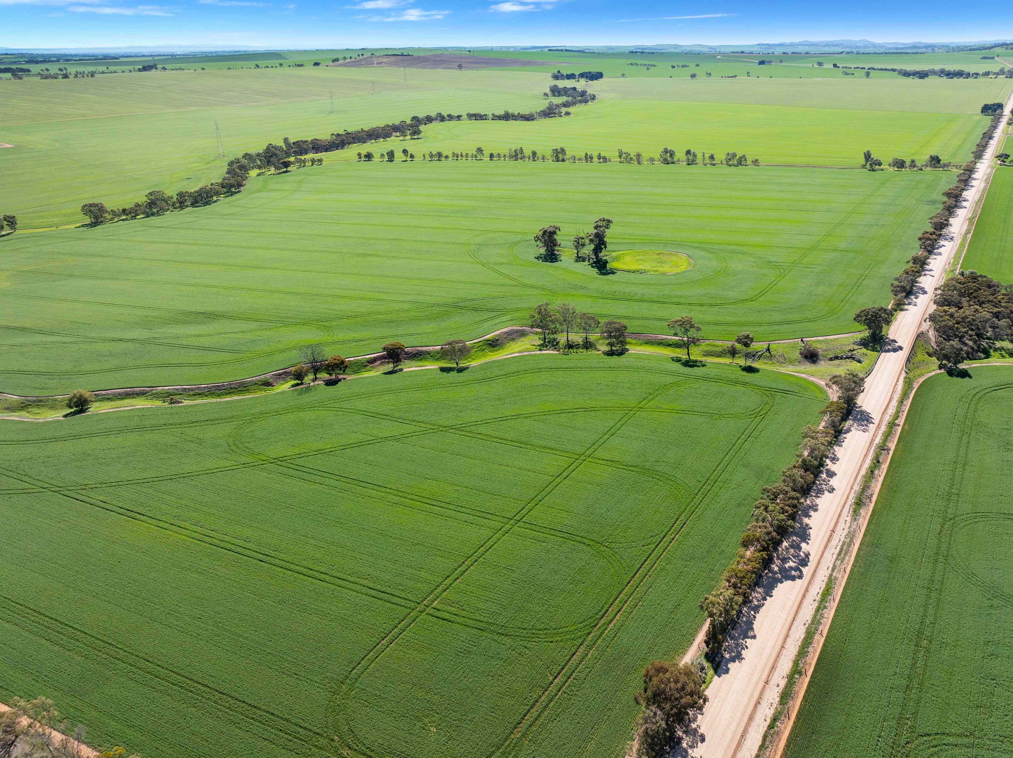 Rural: SA Alma, SA 5401 Cropping | Prop-GPT the AI-Powered Property Portal