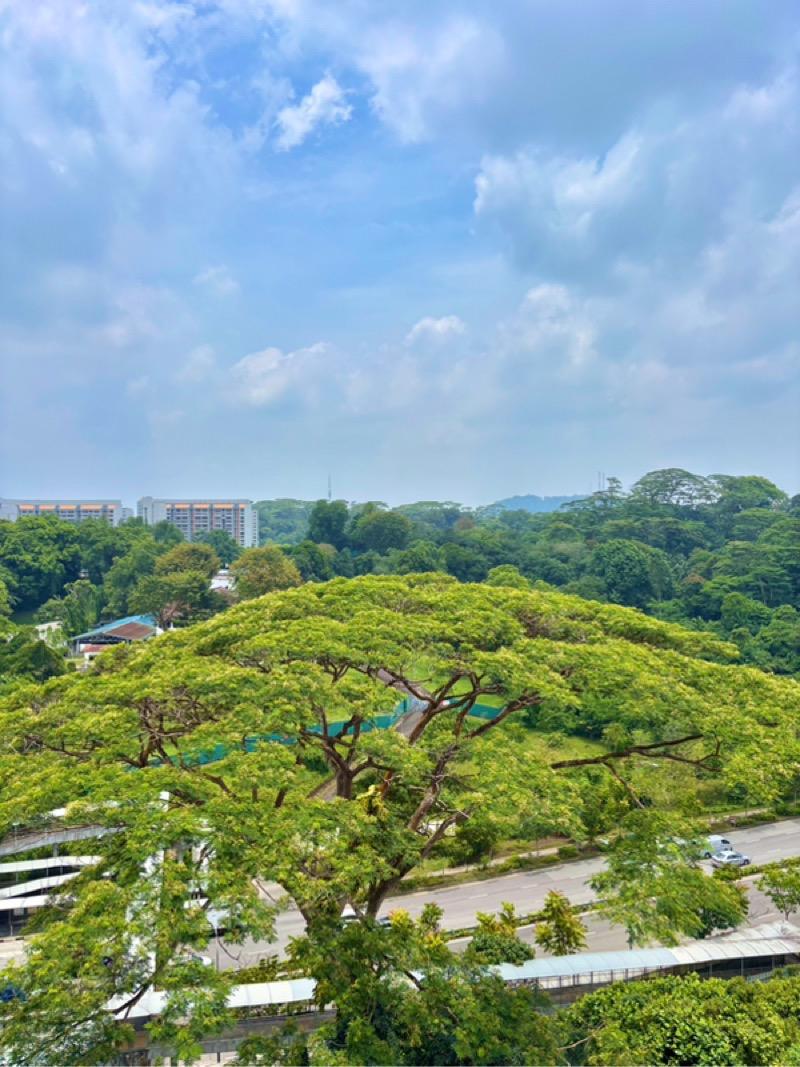 Condominium for Sale, Pine Grove Condominium For Sale, $1,580,000, 2 Bed 2 Bath 1,323 sqft $1,194.00 psf, SGD 1,580,000 | 99-year Leasehold