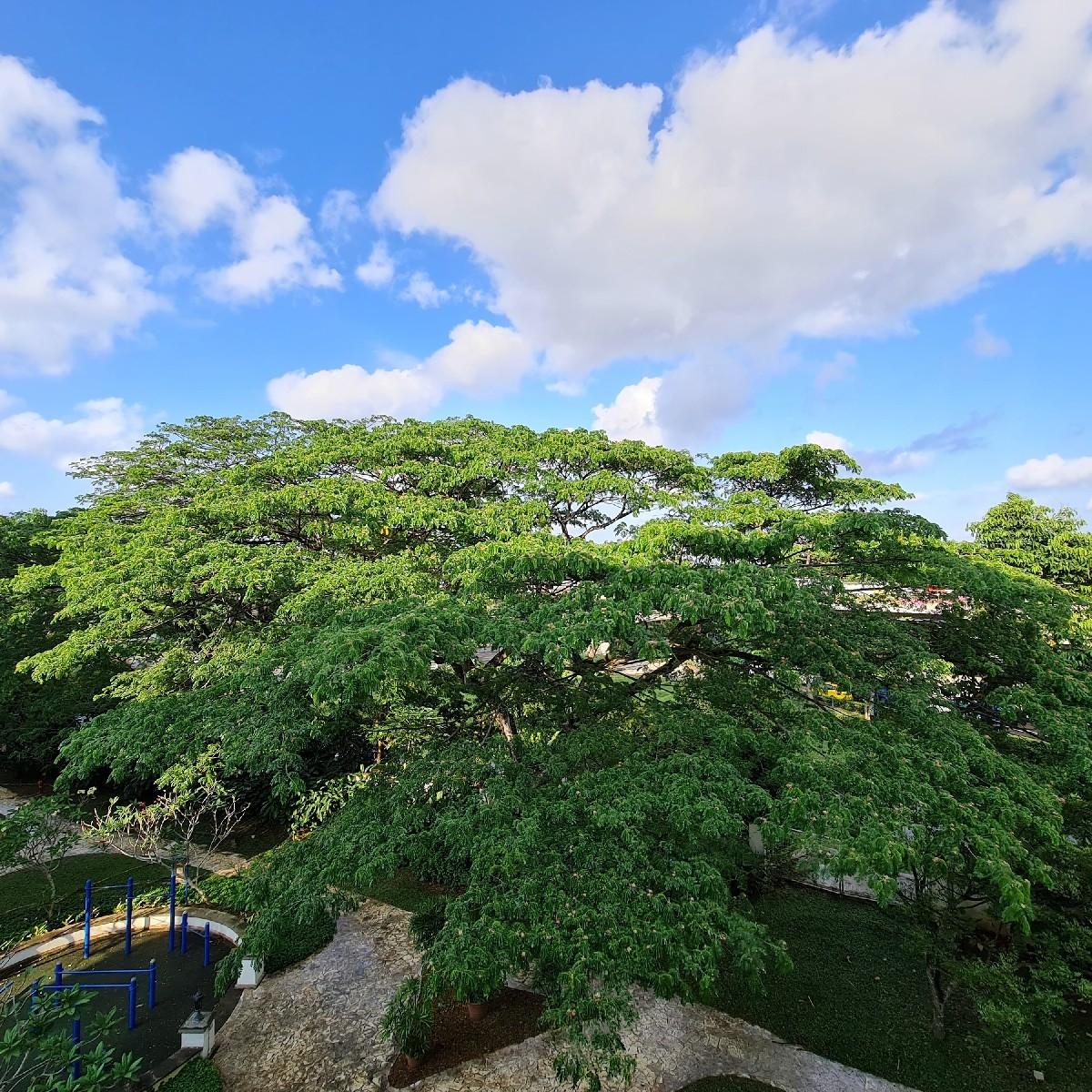 Prop-GPT: Condominium: D28  Sunrise Gardens