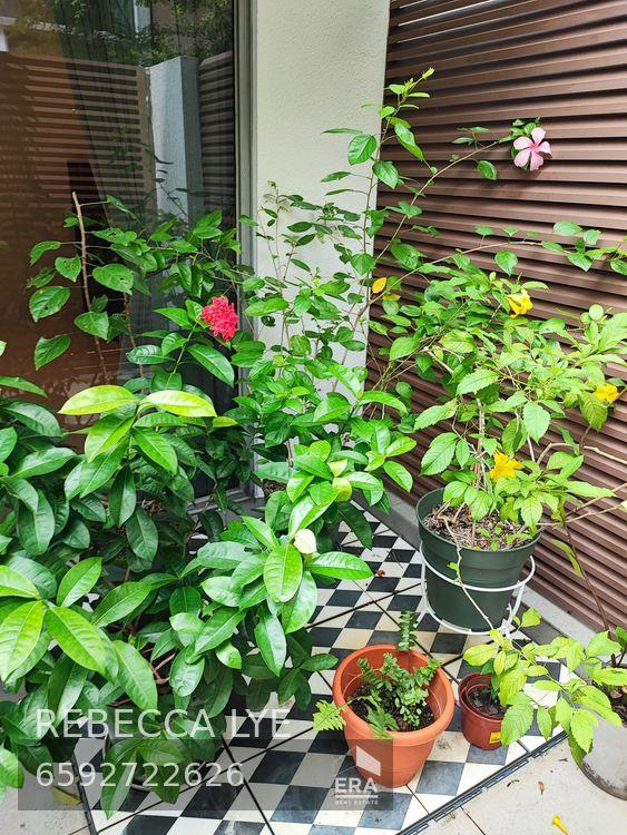 Landed for Sale, Hillcrest Road, SGD 4,500,000 | Leasehold 99