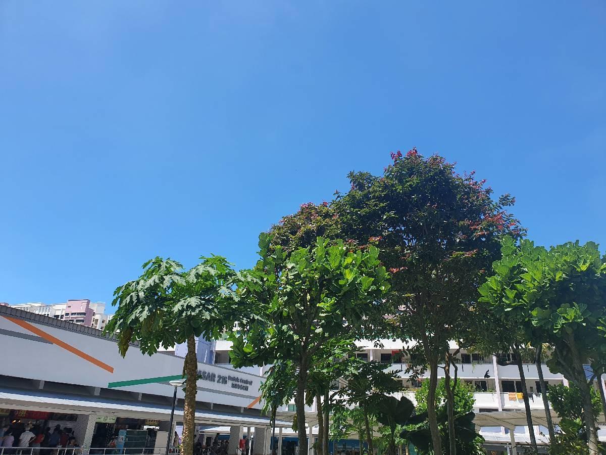 Condominium for Sale, Kent Ridge Hill Residences Condominium For Sale, $969,000, 1 Bed 1 Bath 474 sqft $2,044.00 psf, SGD 969,000 | 99-year Leasehold