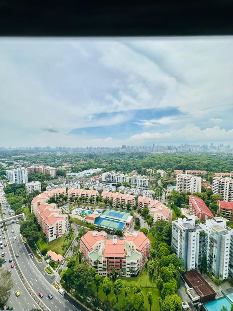 Condominium for Sale, D'LEEDON Condominium For Sale, $3,950,000, 4 Bed 4 Bath 1,744 sqft $2,265.00 psf, SGD 3,950,000