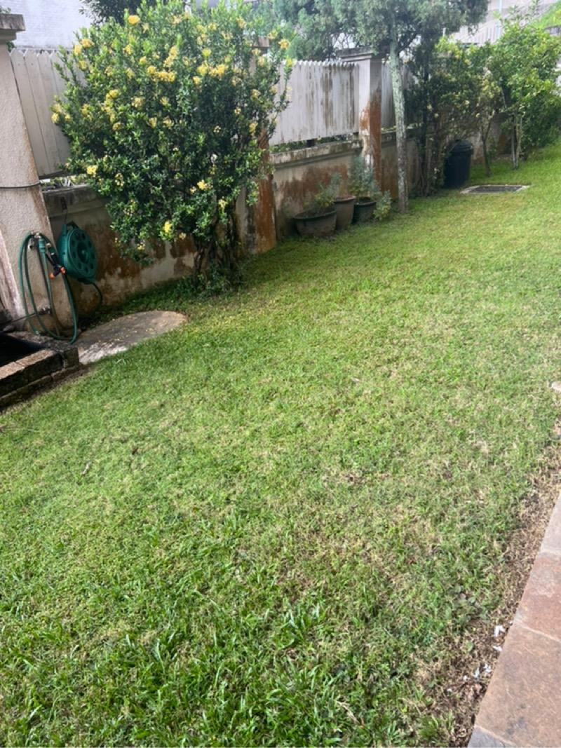 Prop-GPT: Semi-Detached: D21  Lorong kilat